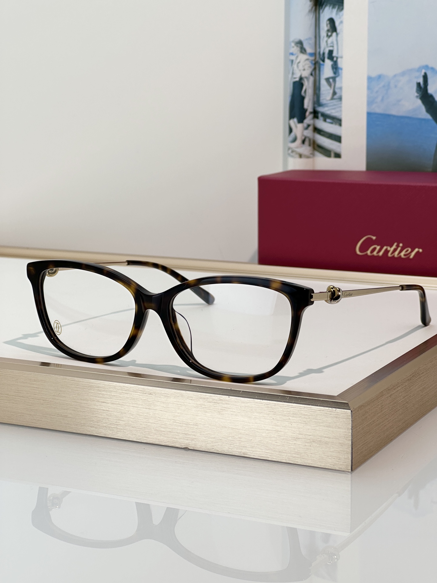 Designer Sunglasses CT0257OA