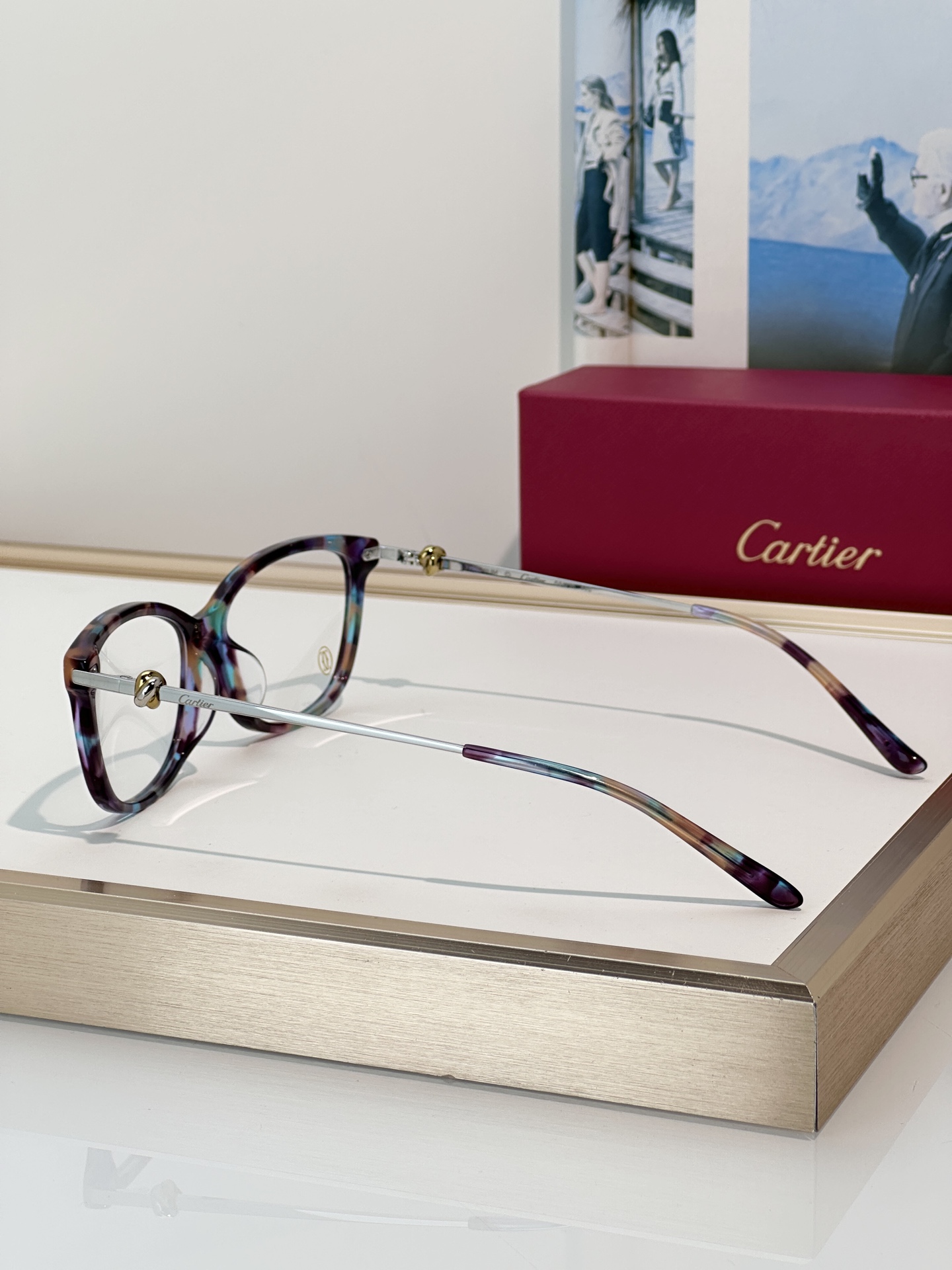 Designer Sunglasses CT0257OA