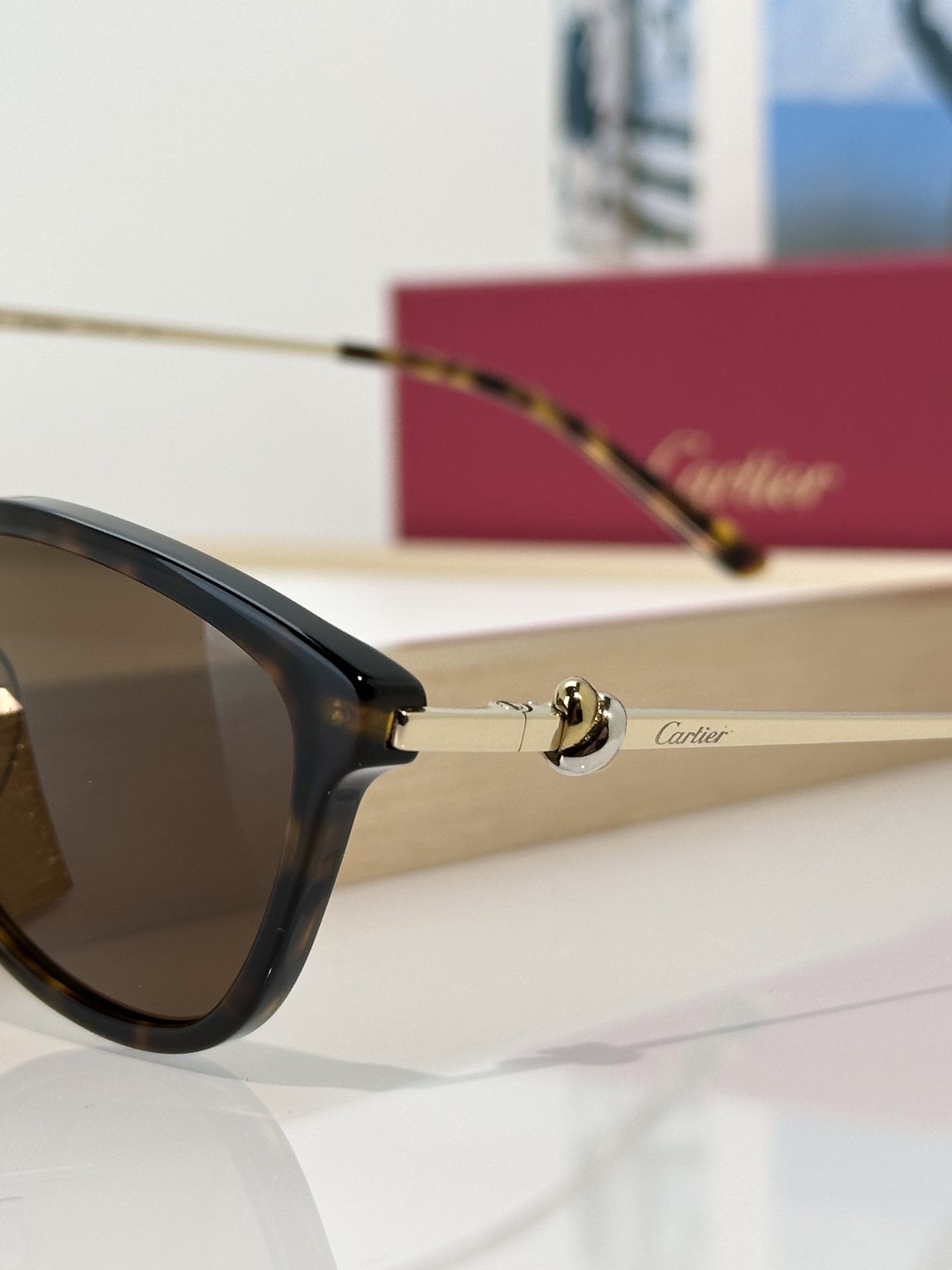 Designer Sunglasses CT0257OA