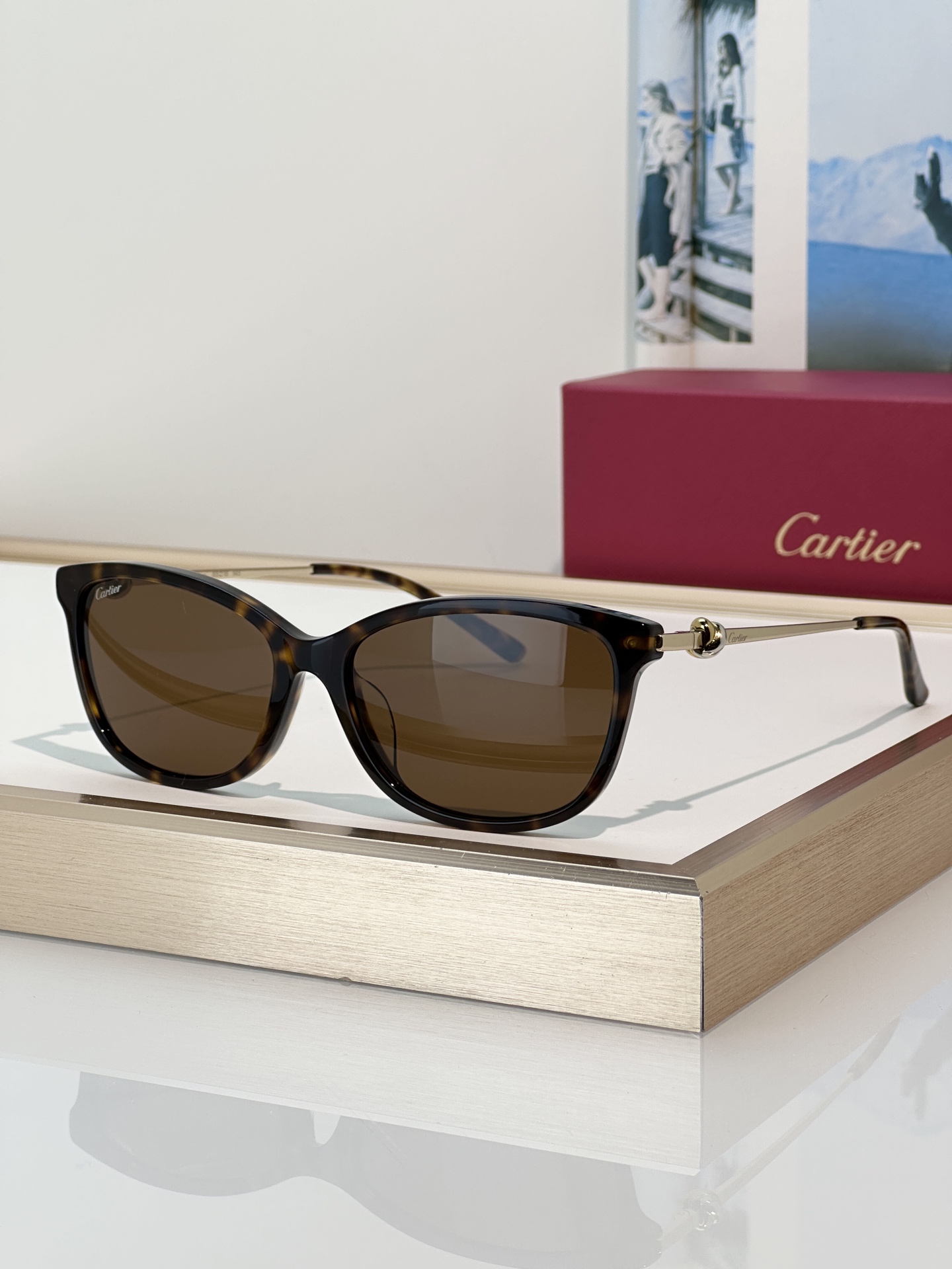 Designer Sunglasses CT0257OA