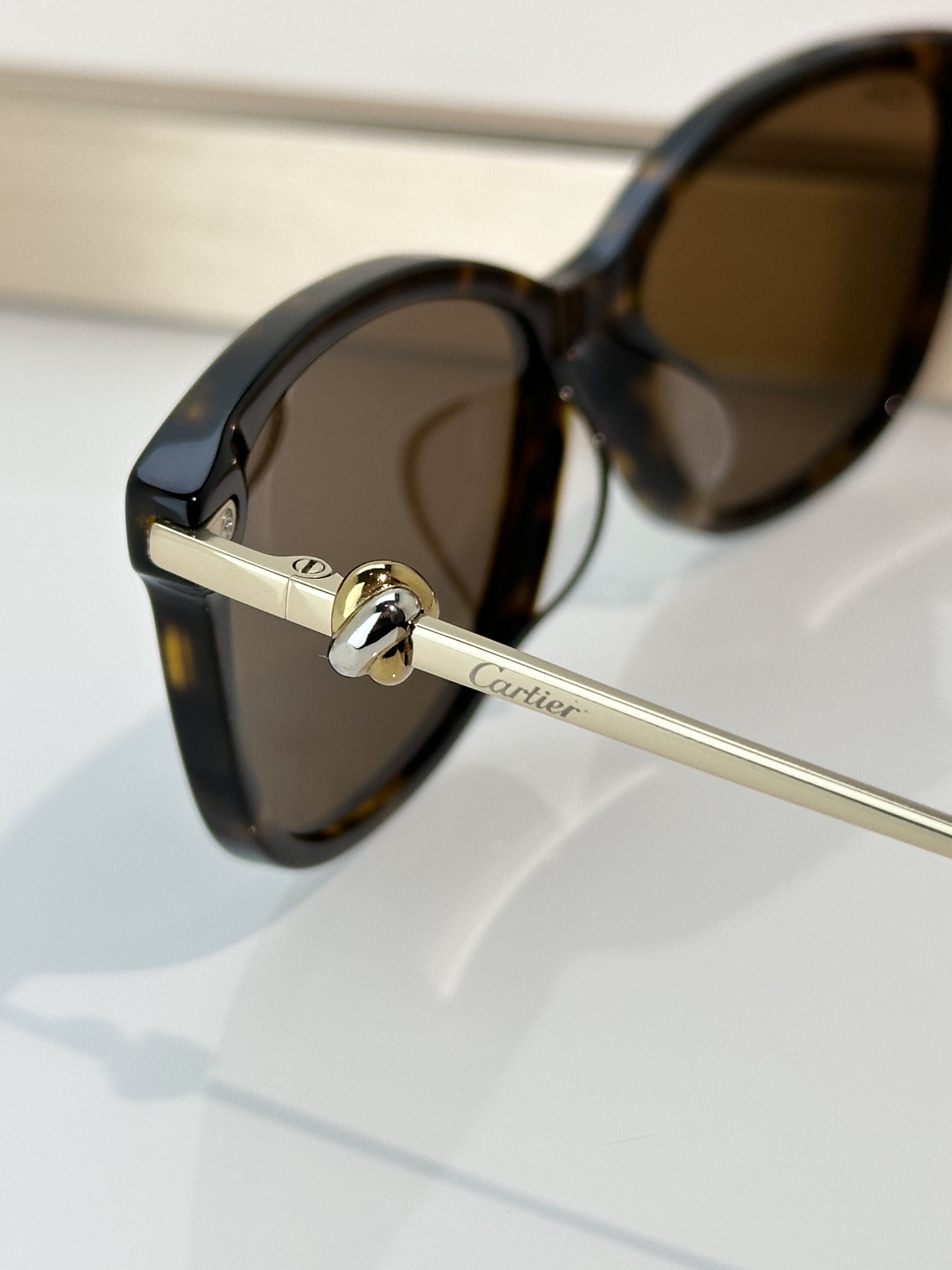 Designer Sunglasses CT0257OA