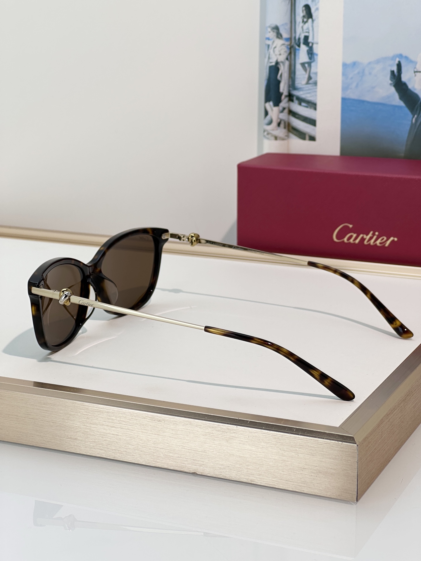 Designer Sunglasses CT0257OA