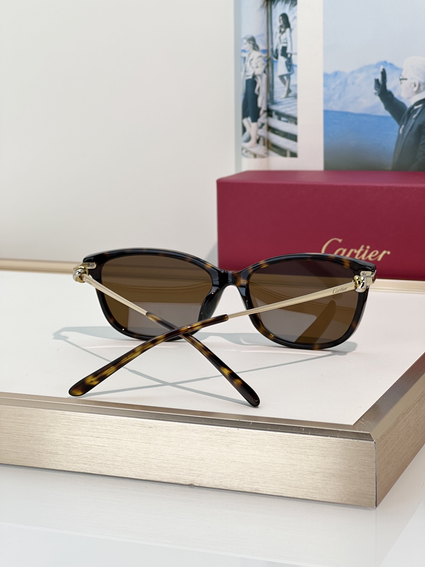 Designer Sunglasses CT0257OA
