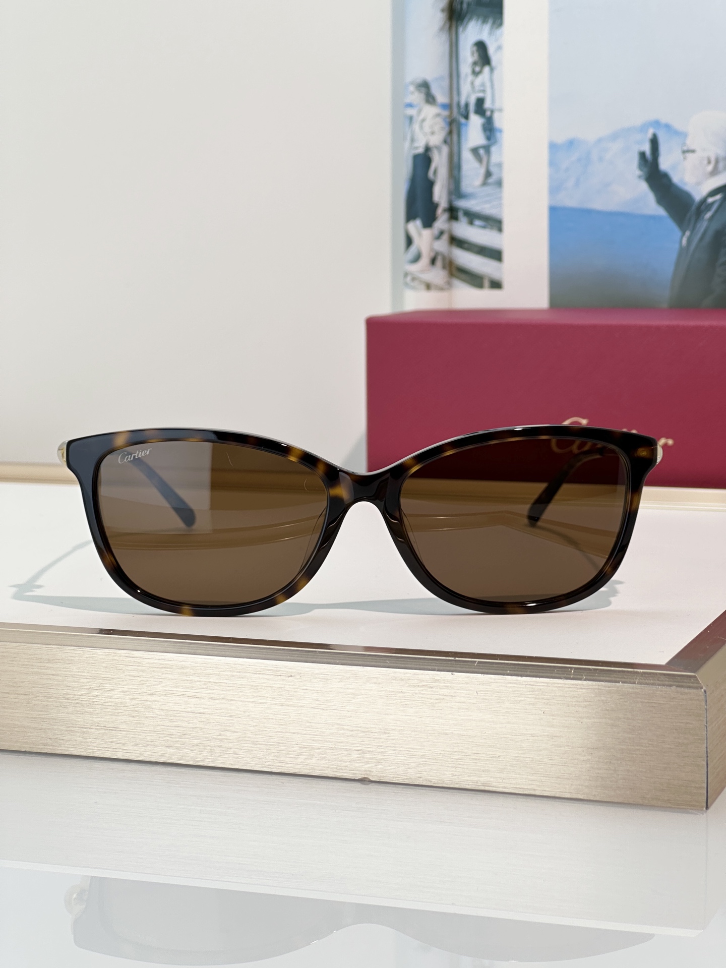 Designer Sunglasses CT0257OA