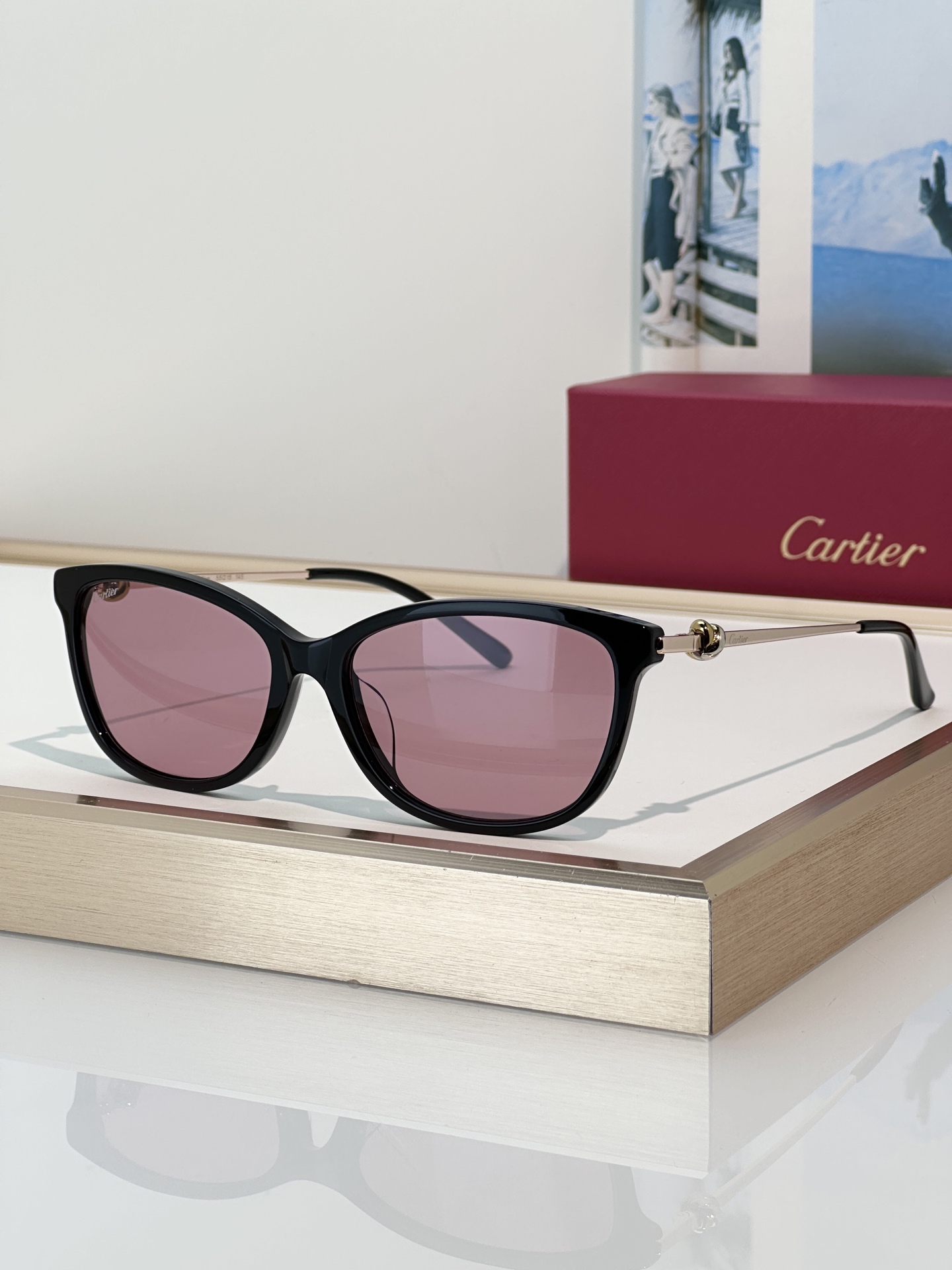 Designer Sunglasses CT0257OA