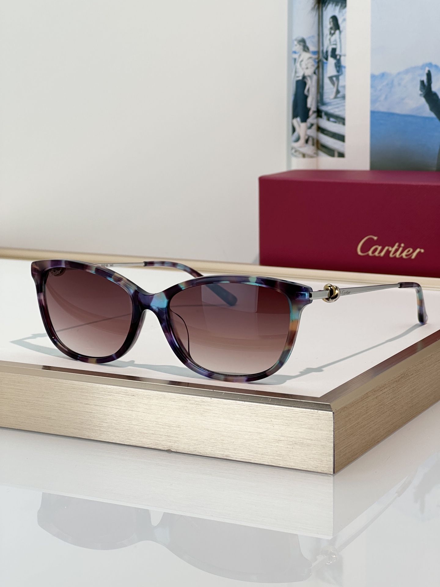 Designer Sunglasses CT0257OA