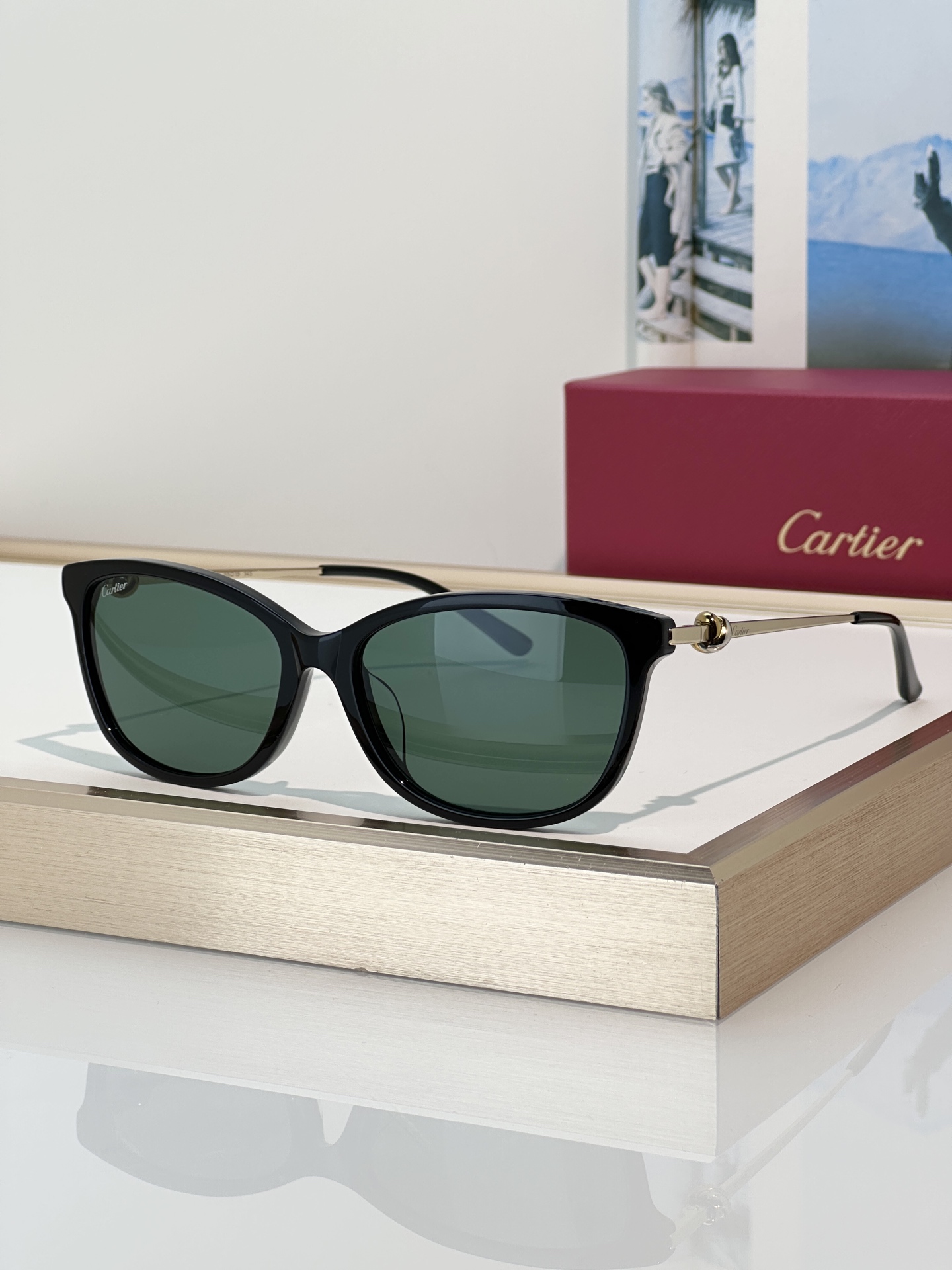 Designer Sunglasses CT0257OA