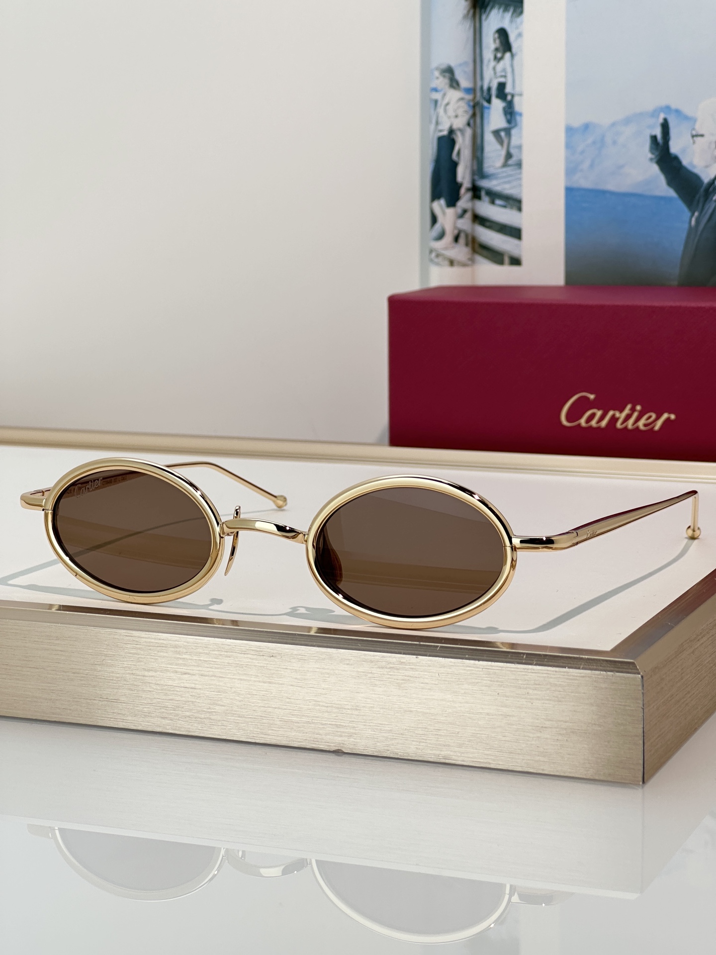 Designer Sunglasses CT0649S