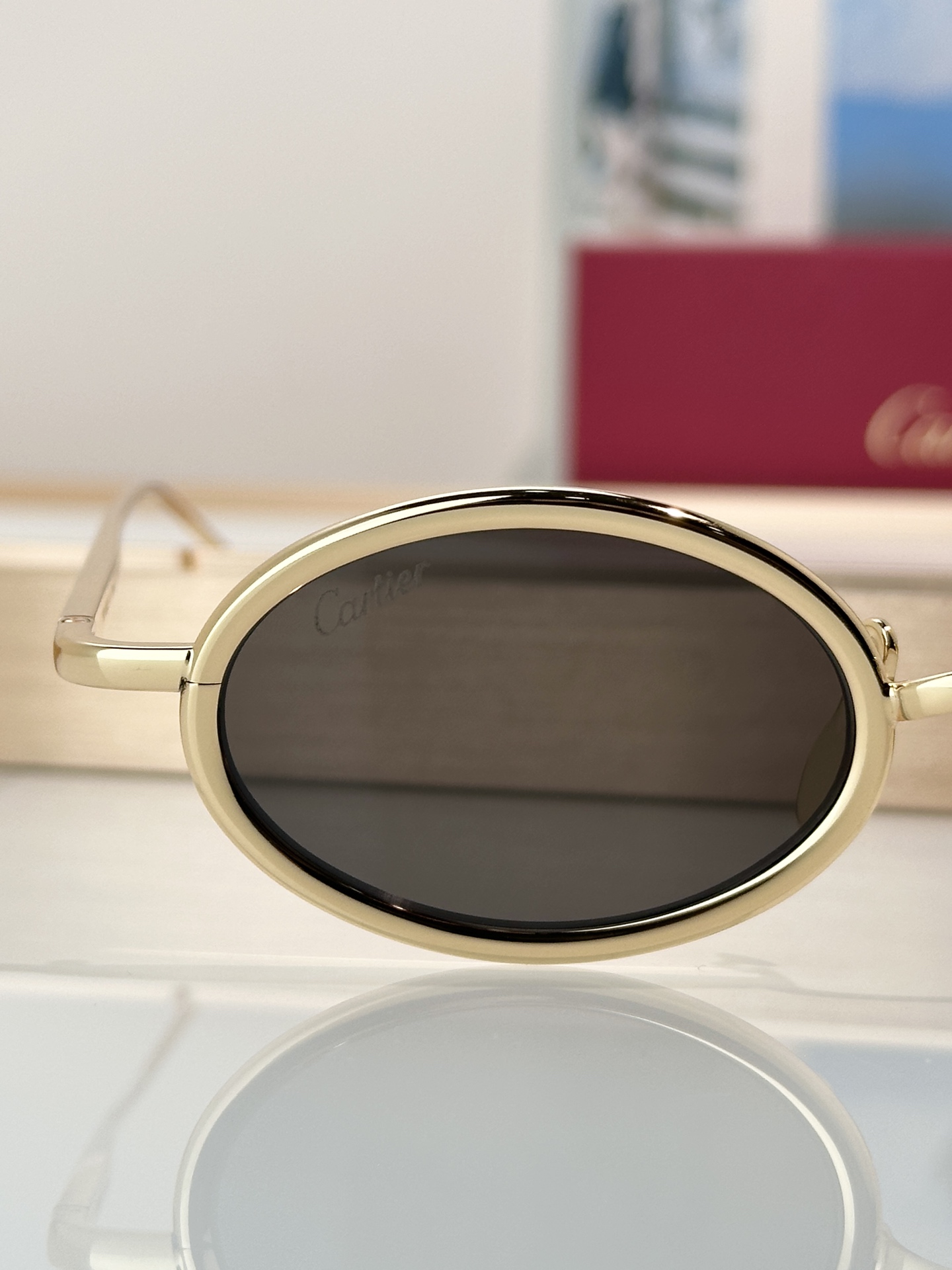 Designer Sunglasses CT0649S