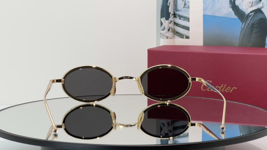 Designer Sunglasses CT0649S