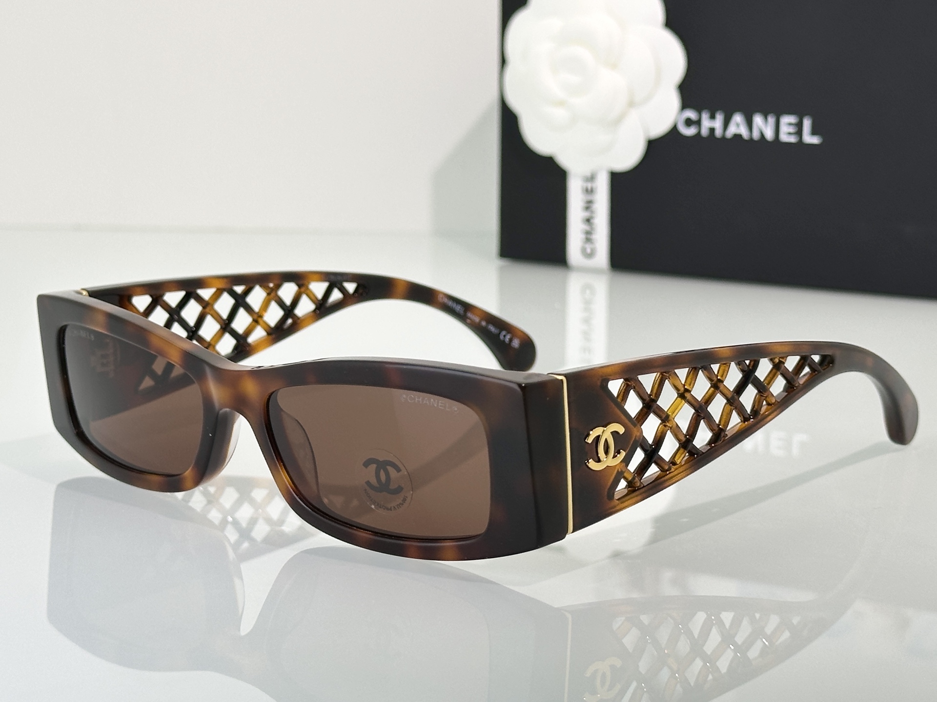 Chanel Sunglasses CH5566
