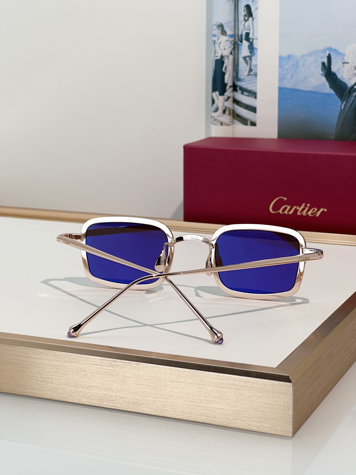 Designer Sunglasses CT0650S