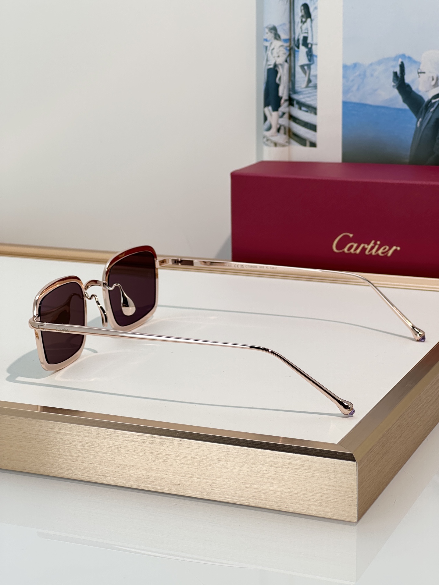 Designer Sunglasses CT0650S