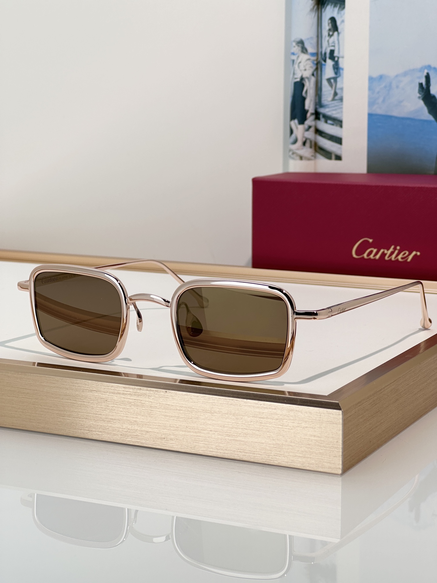Designer Sunglasses CT0650S