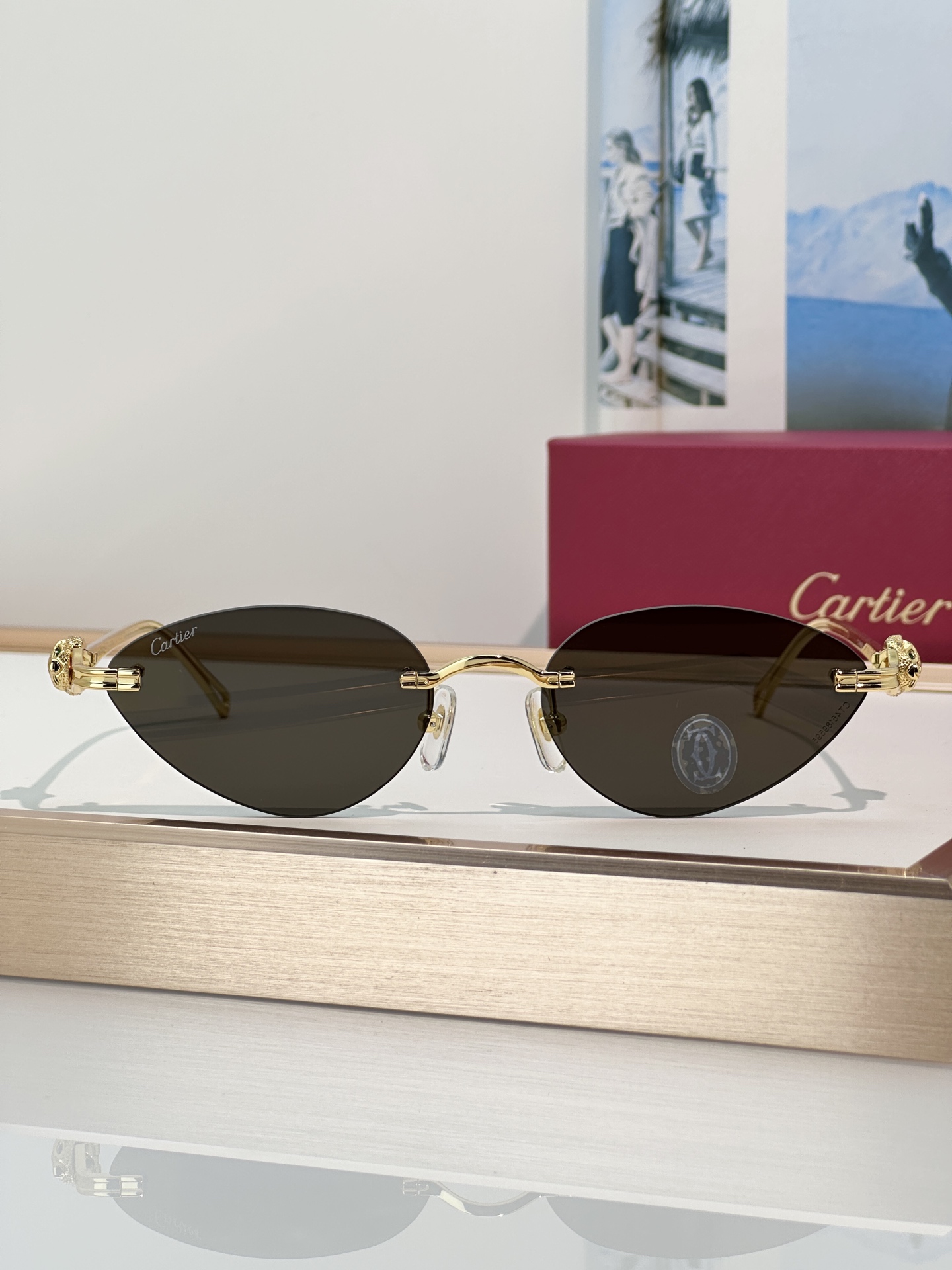 Designer Sunglasses CT0650S
