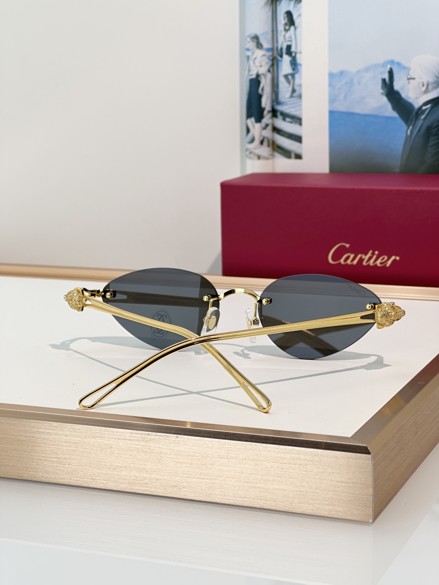 Designer Sunglasses CT0650S