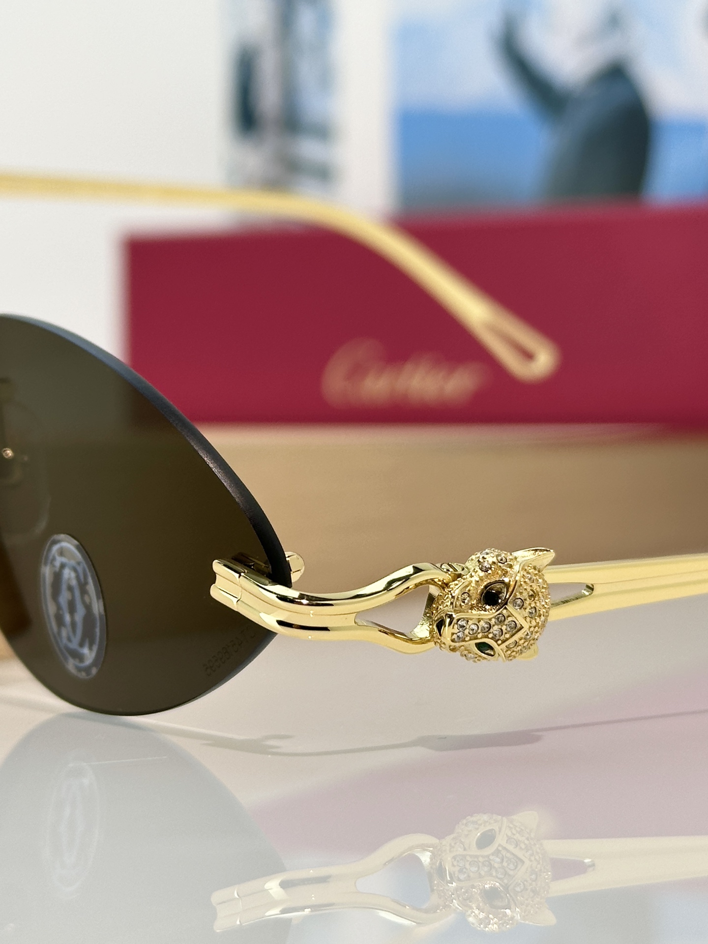 Designer Sunglasses CT0650S