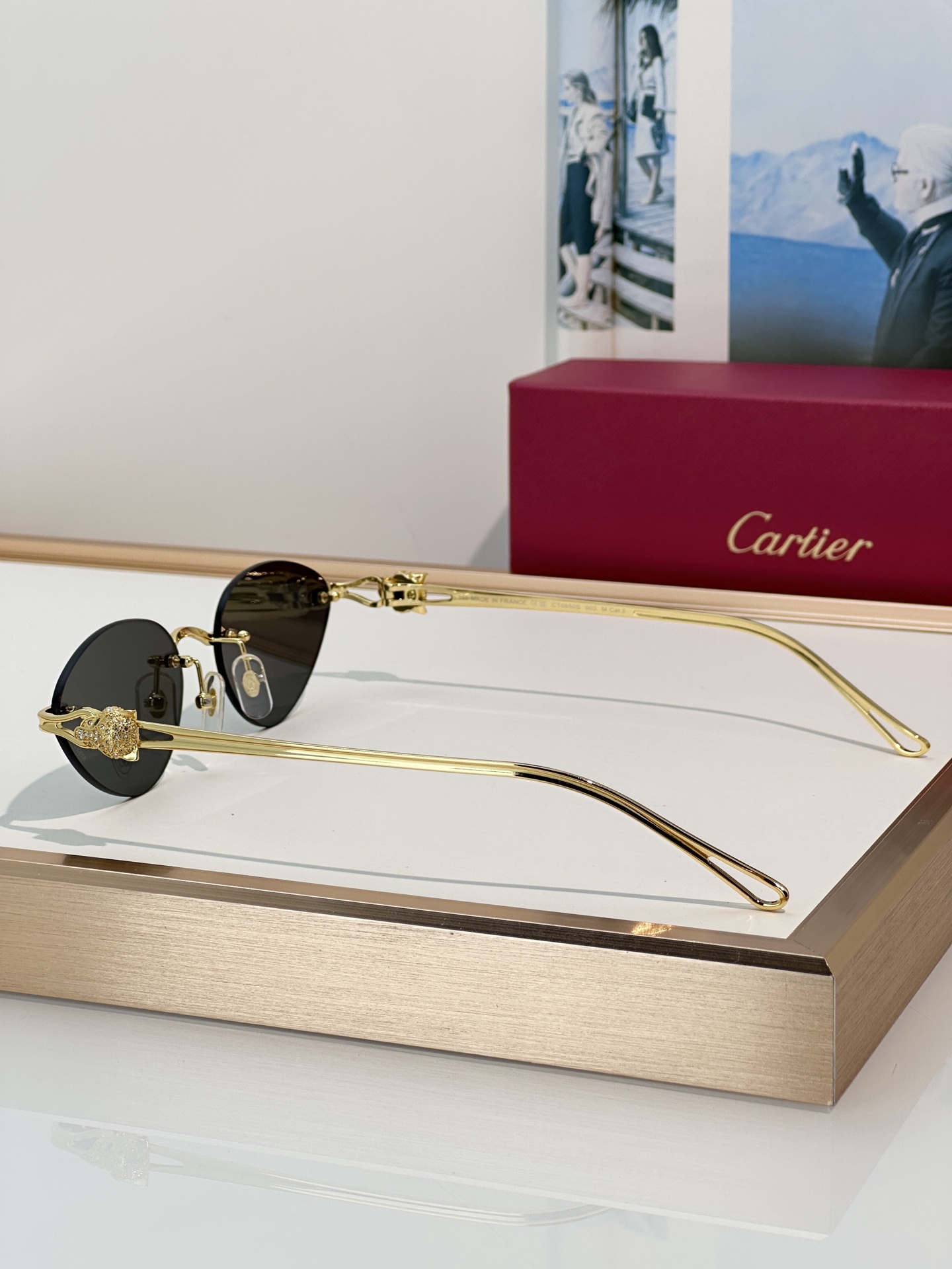 Designer Sunglasses CT0650S