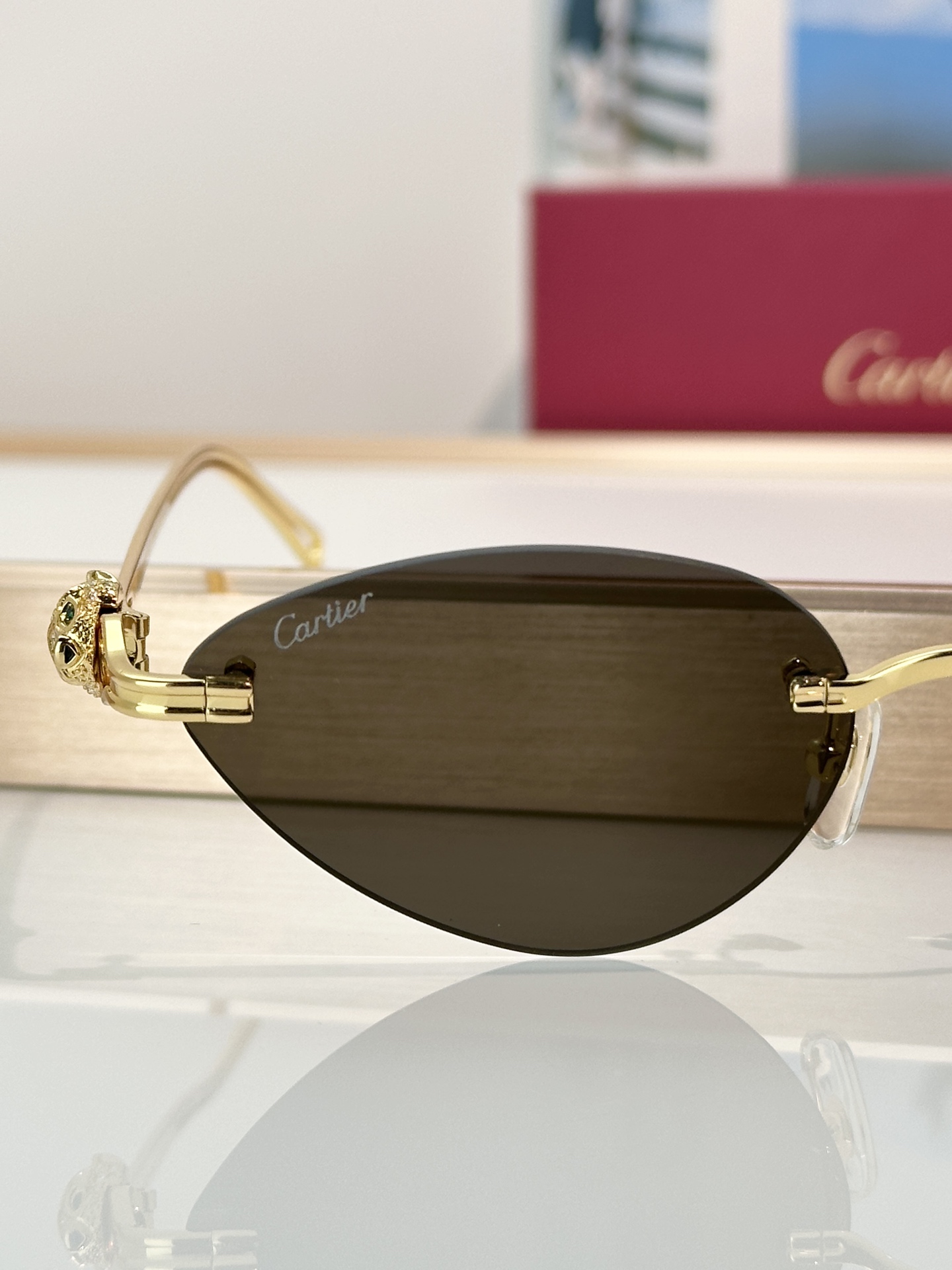 Designer Sunglasses CT0650S