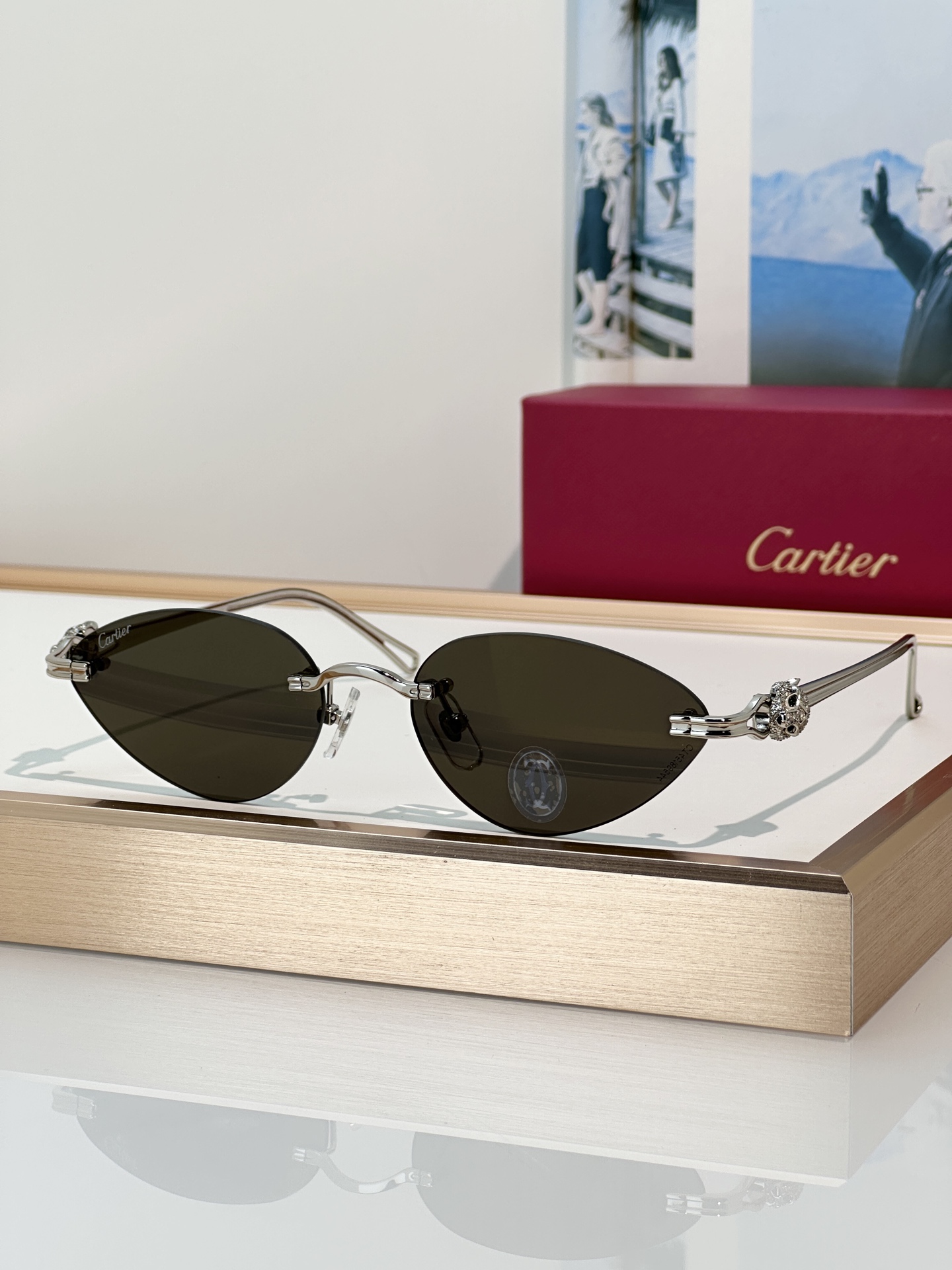 Designer Sunglasses CT0650S