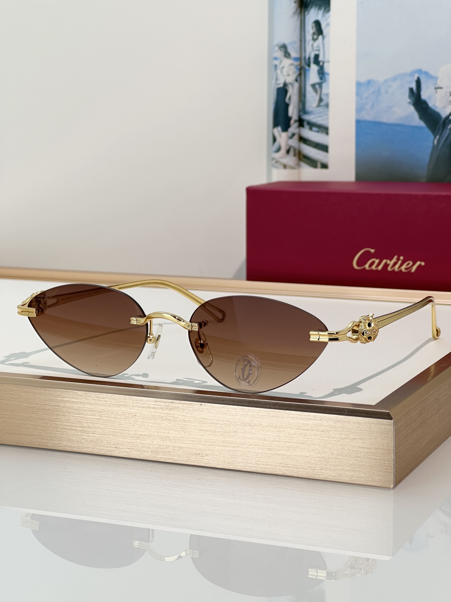 Designer Sunglasses CT0650S
