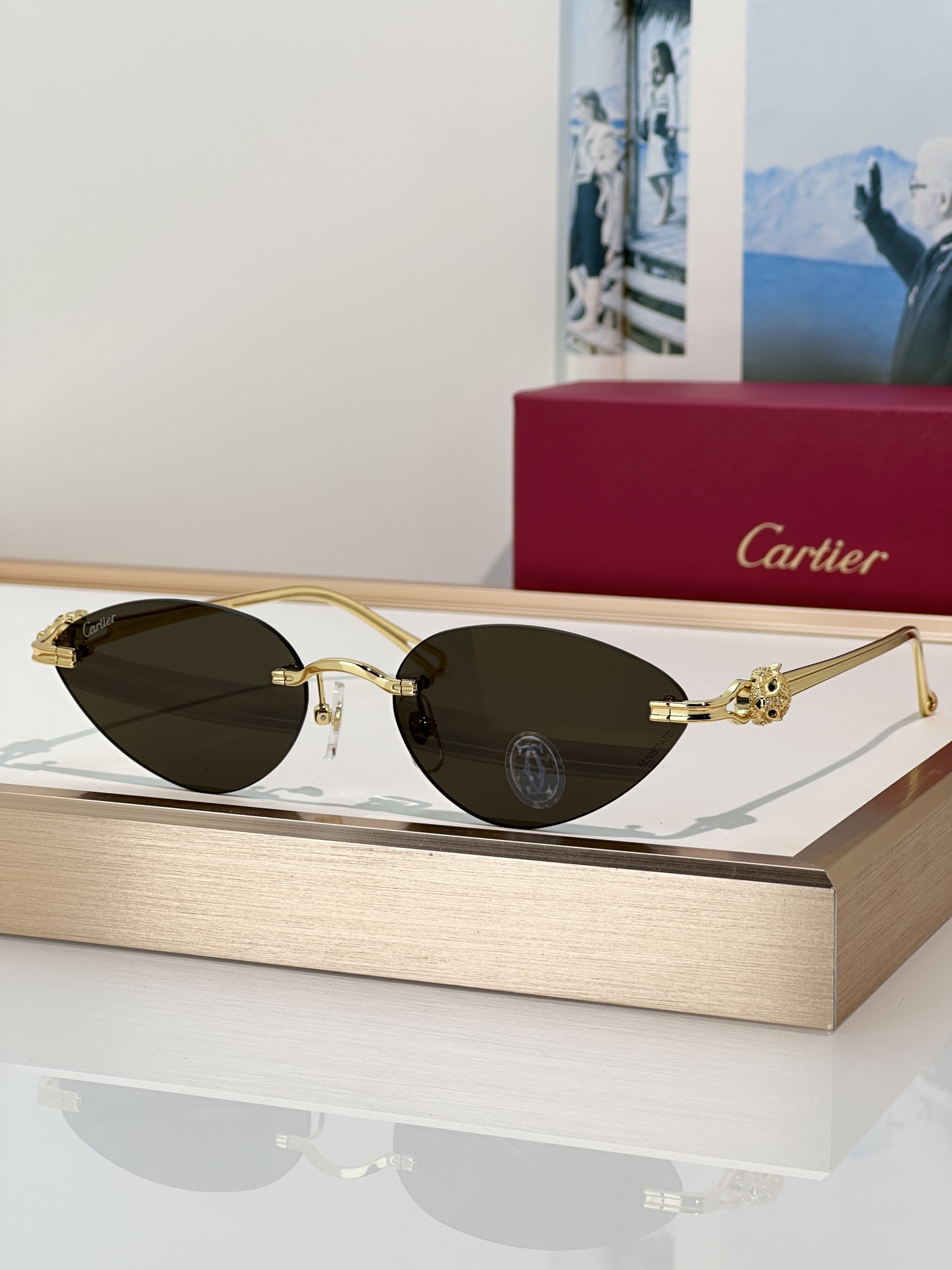 Designer Sunglasses CT0650S
