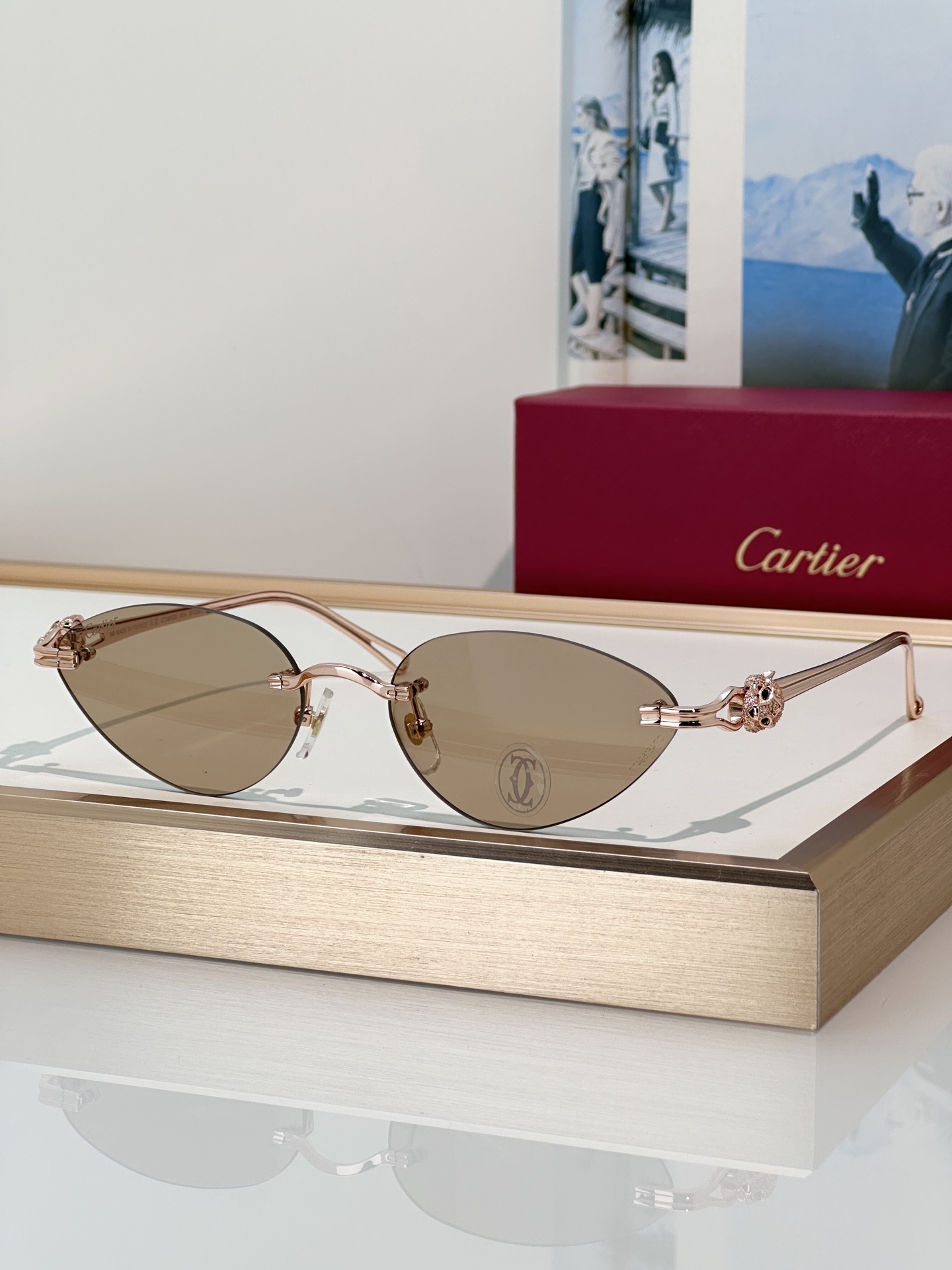 Designer Sunglasses CT0650S