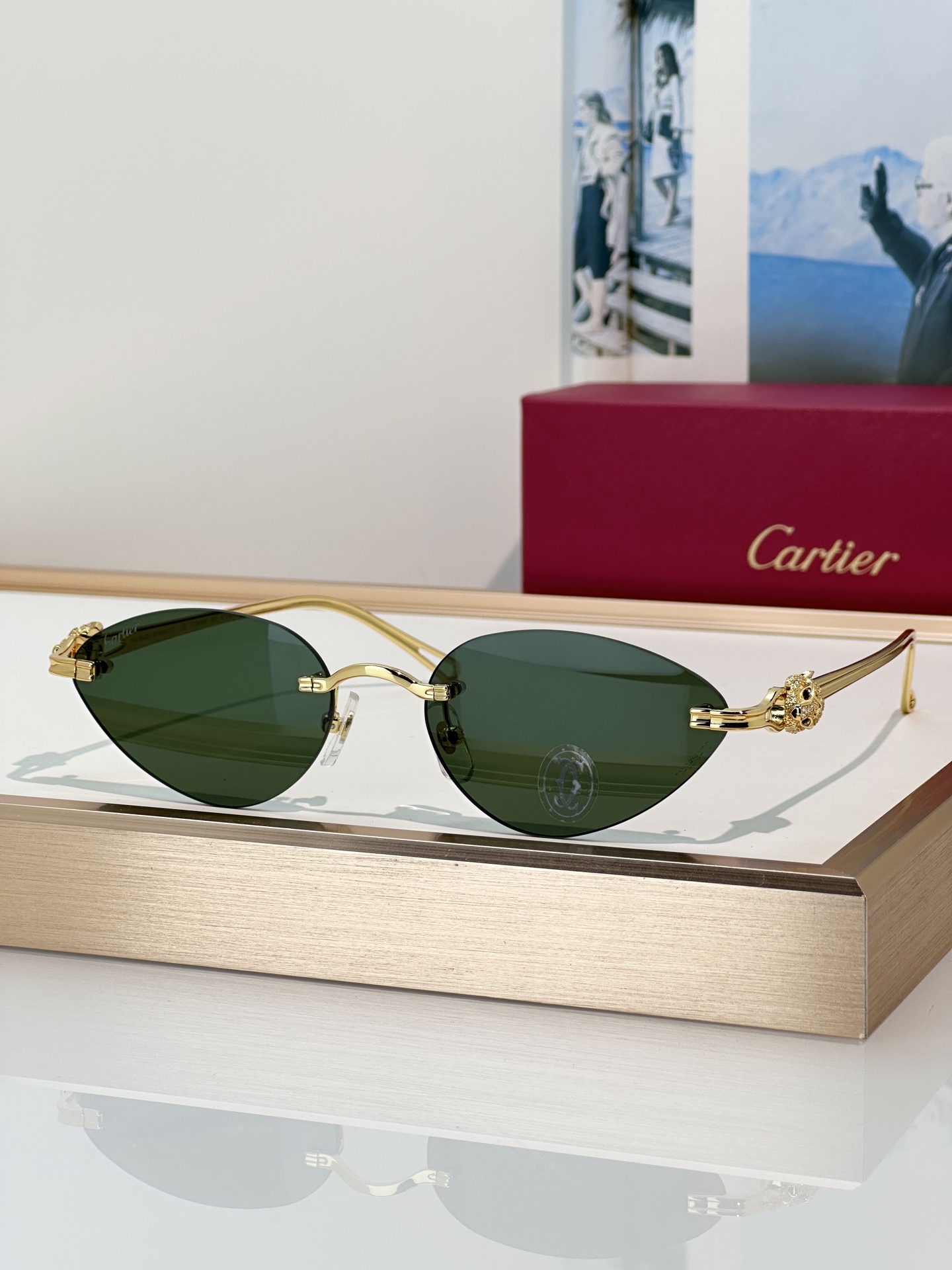 Designer Sunglasses CT0650S