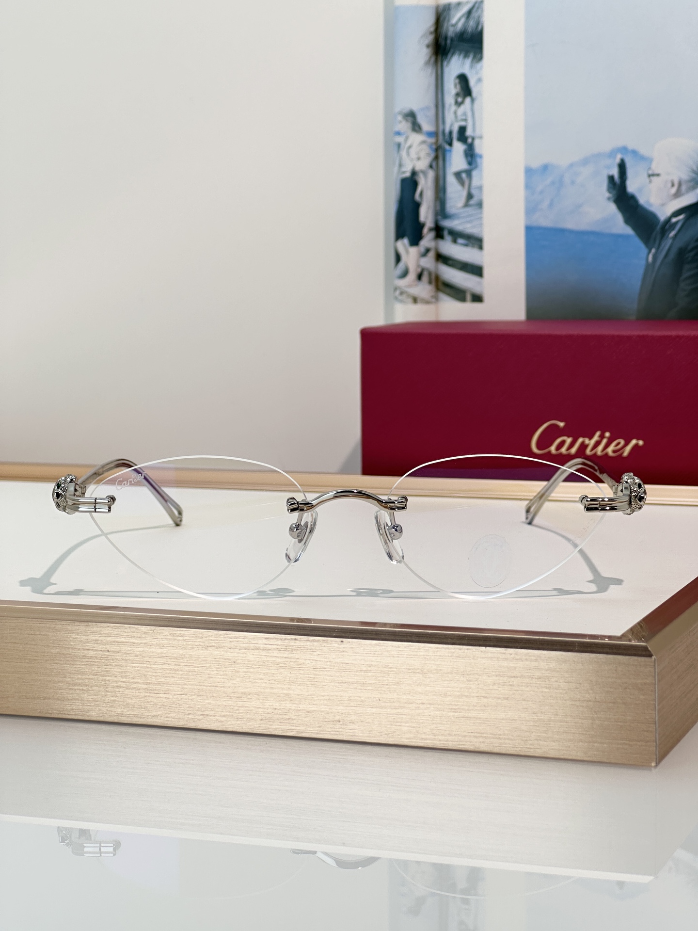 Designer Sunglasses CT0650S