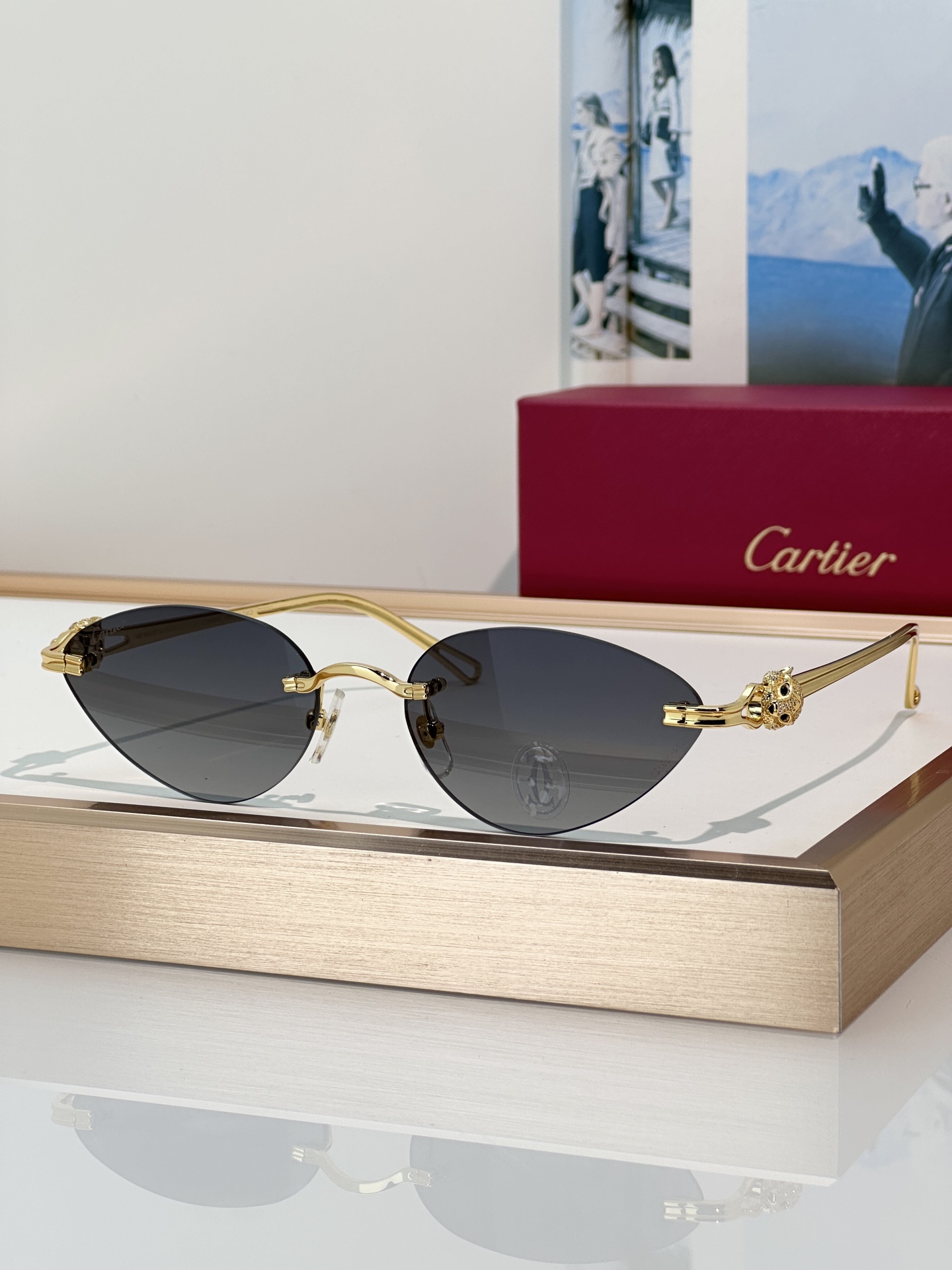 Designer Sunglasses CT0650S