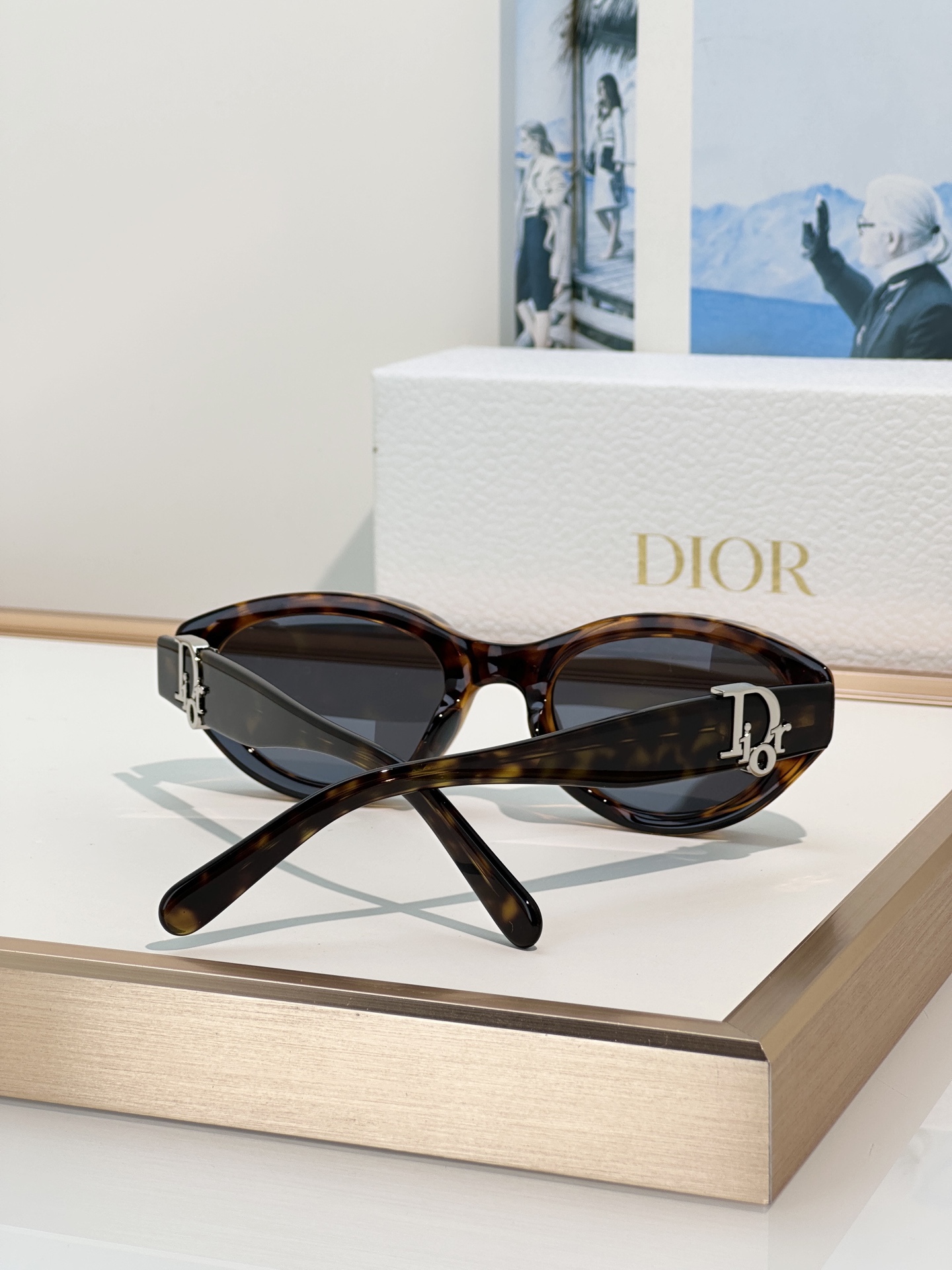 Designer Sunglasses Oblique