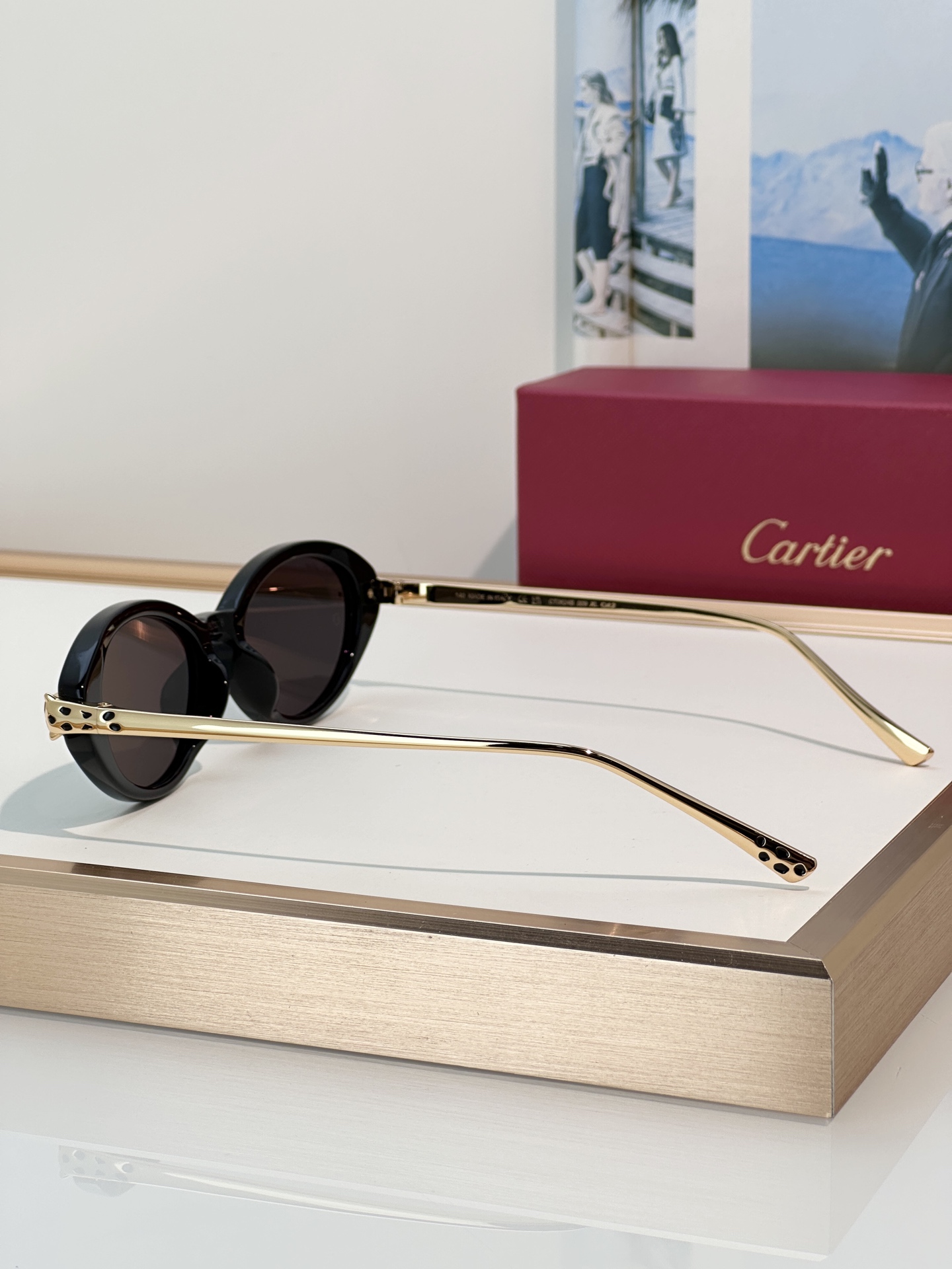 Designer Sunglasses CT0634S