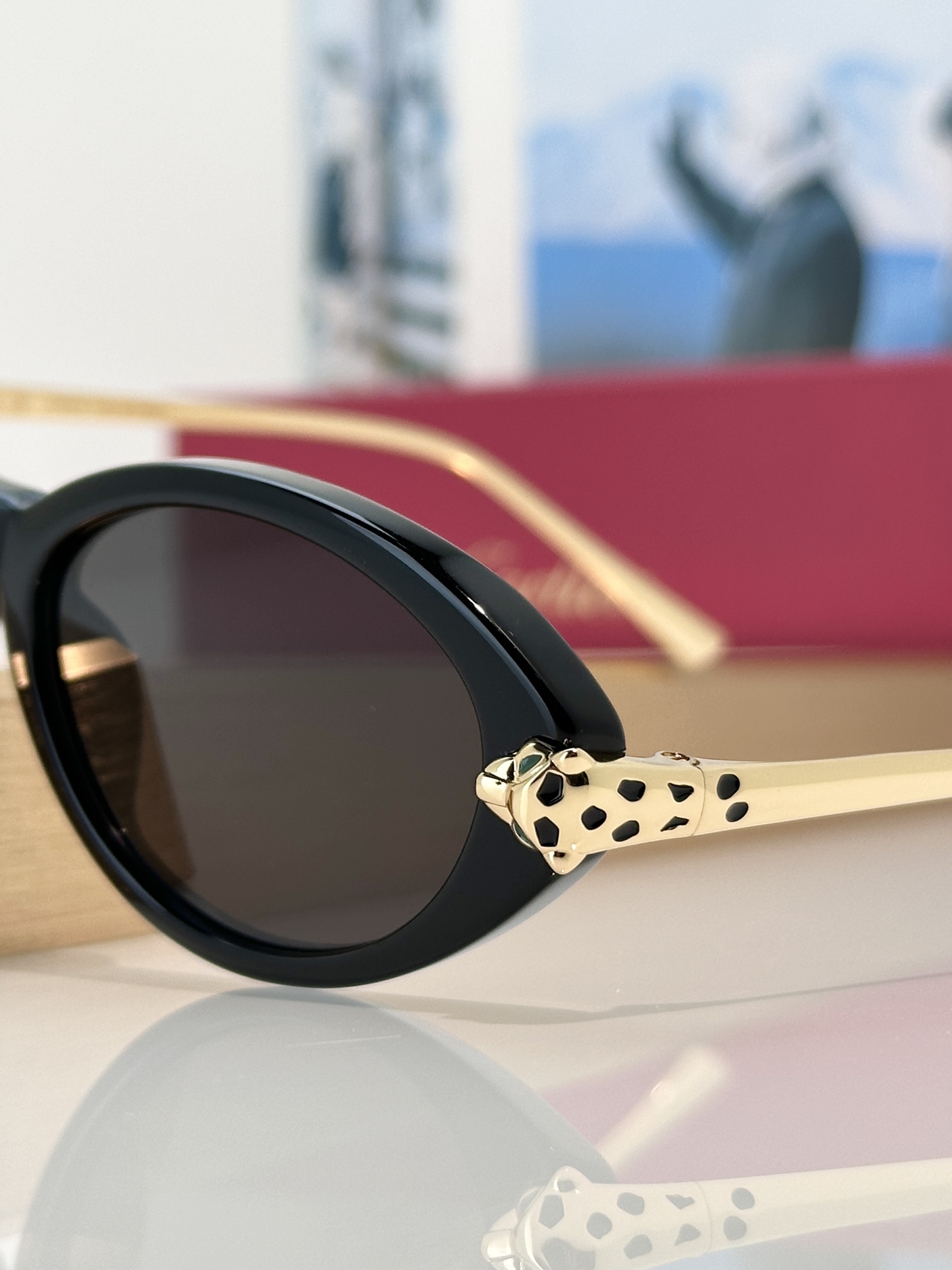 Designer Sunglasses CT0634S