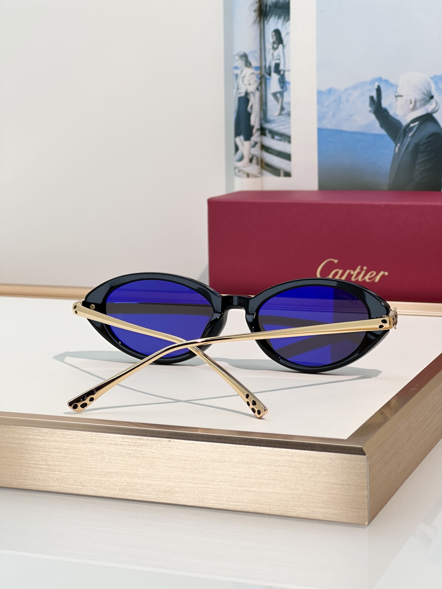 Designer Sunglasses CT0634S