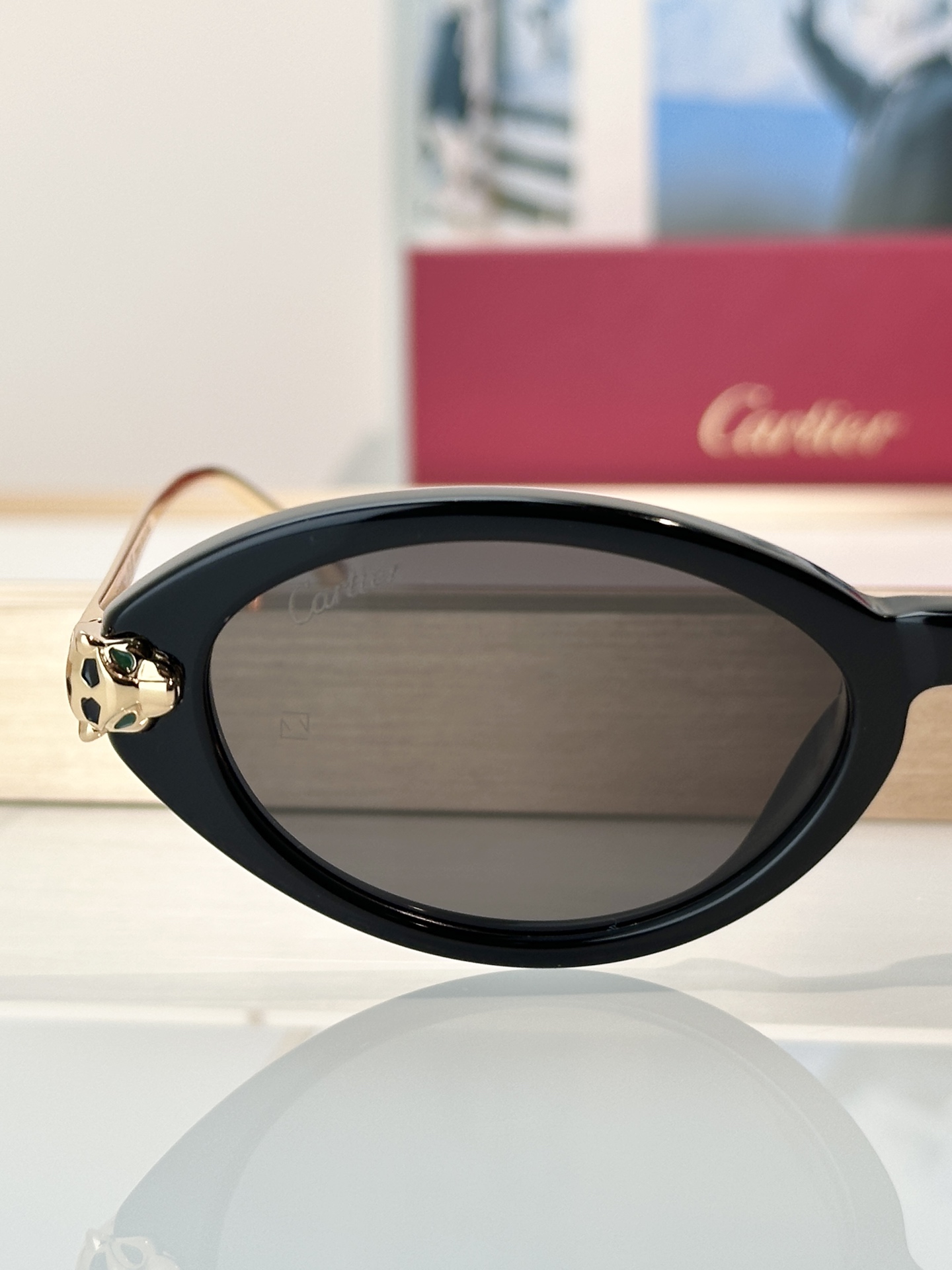 Designer Sunglasses CT0634S