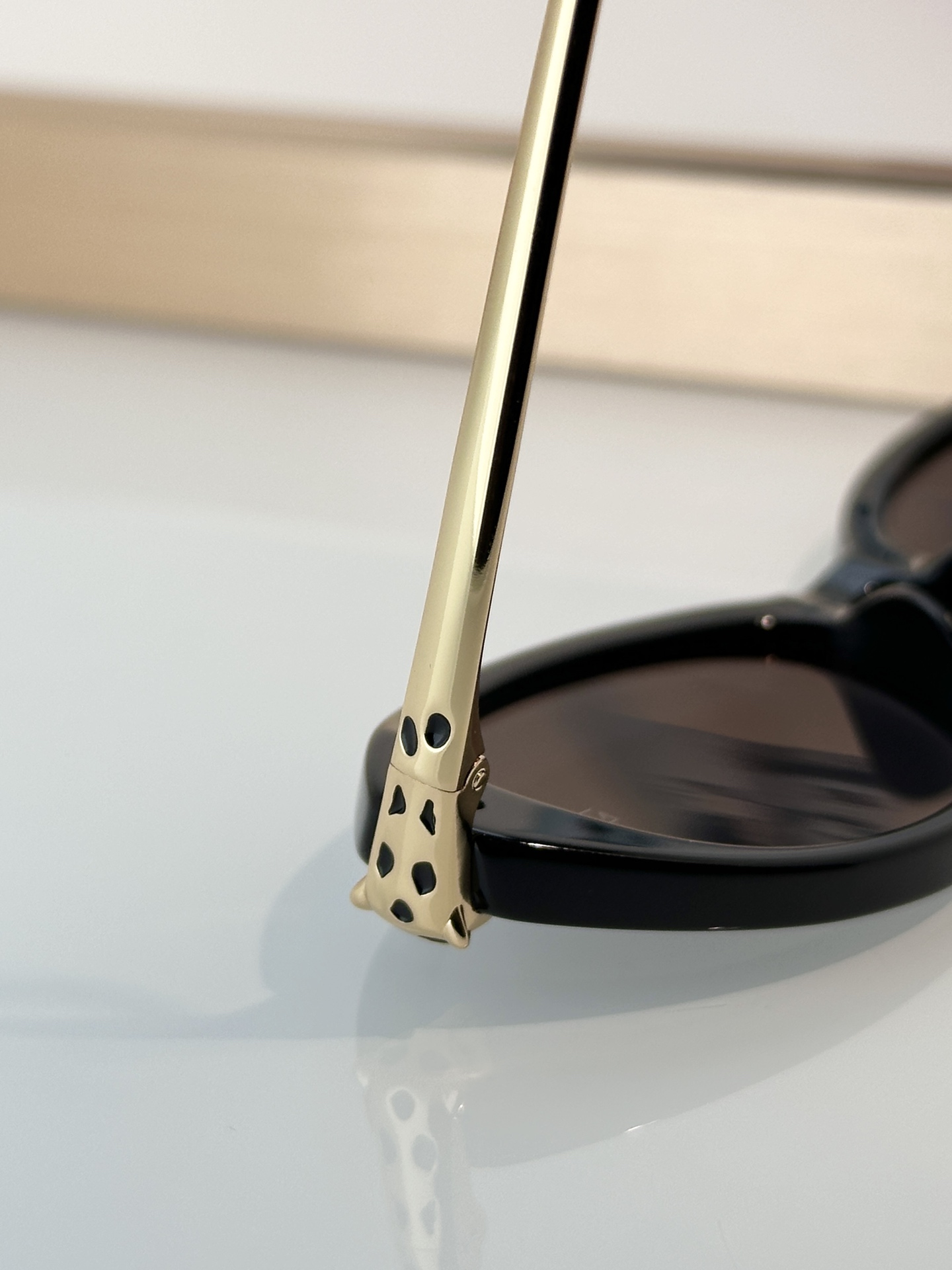 Designer Sunglasses CT0634S