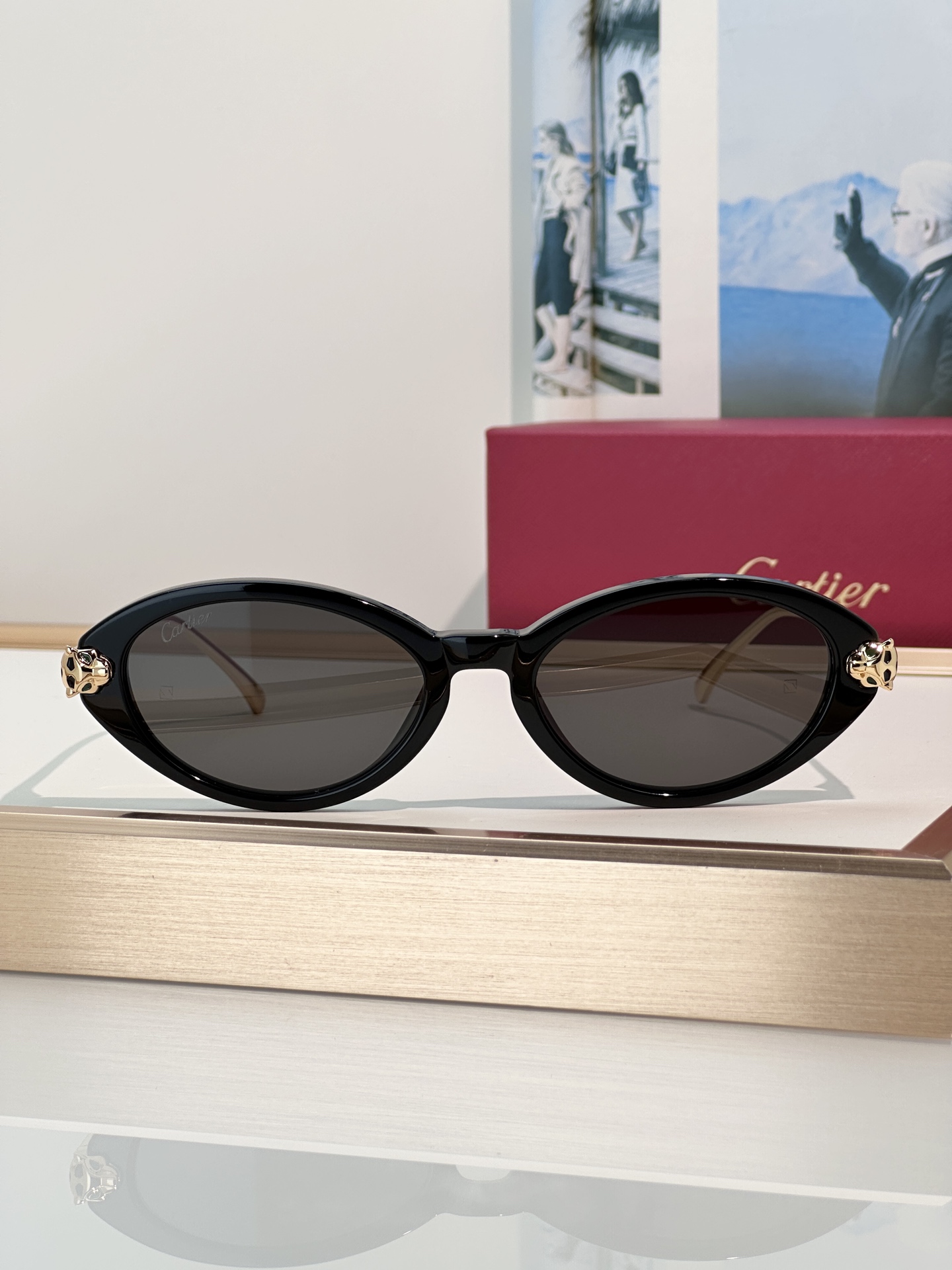 Designer Sunglasses CT0634S