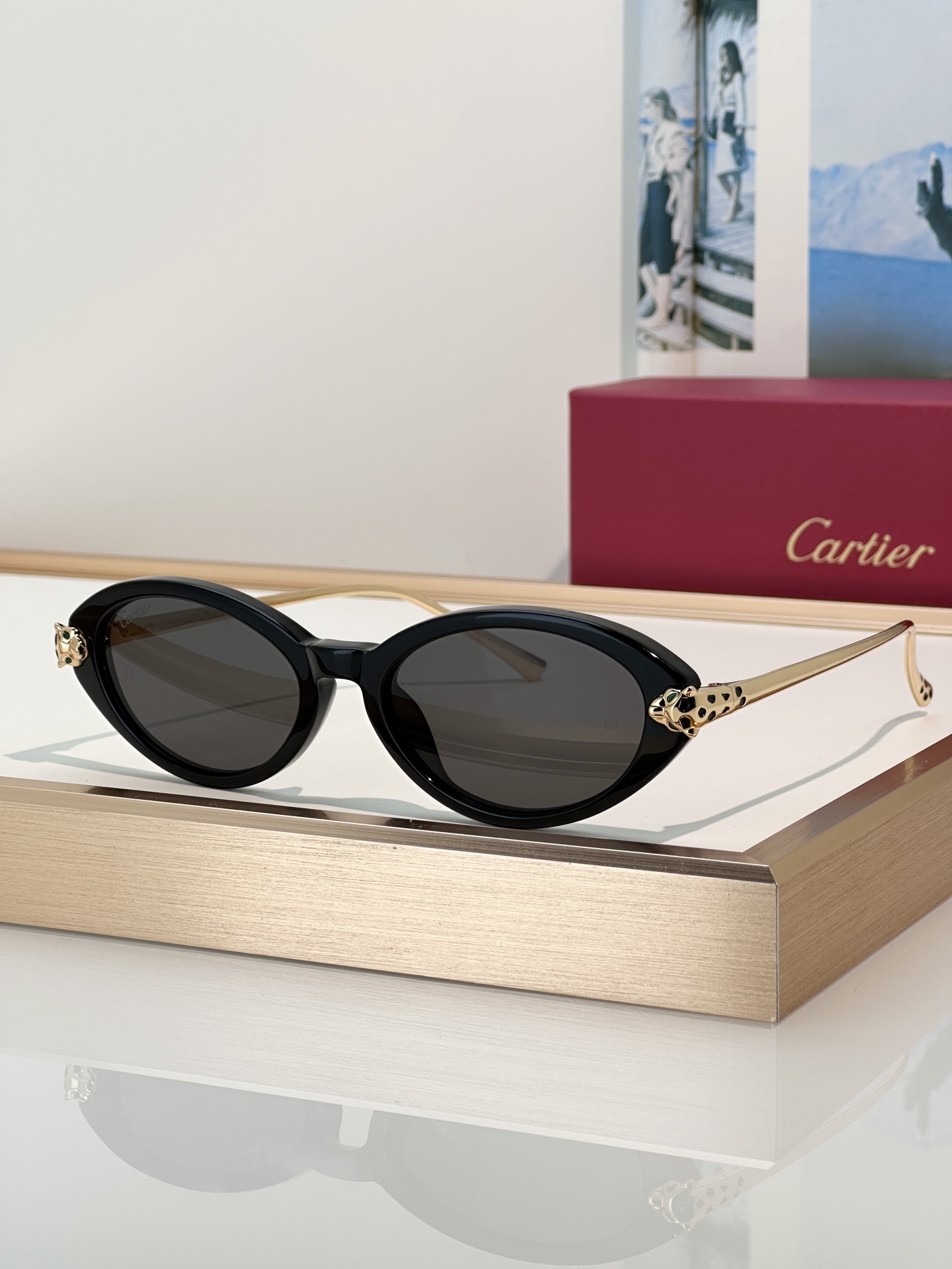 Designer Sunglasses CT0634S