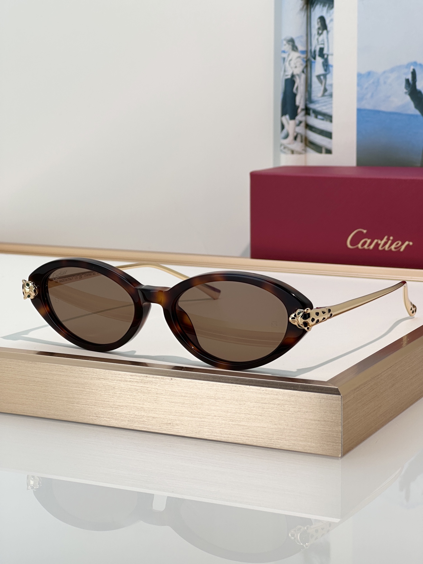Designer Sunglasses CT0634S