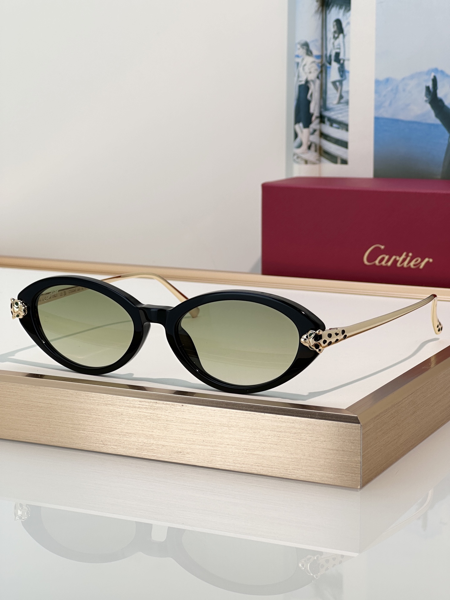 Designer Sunglasses CT0634S