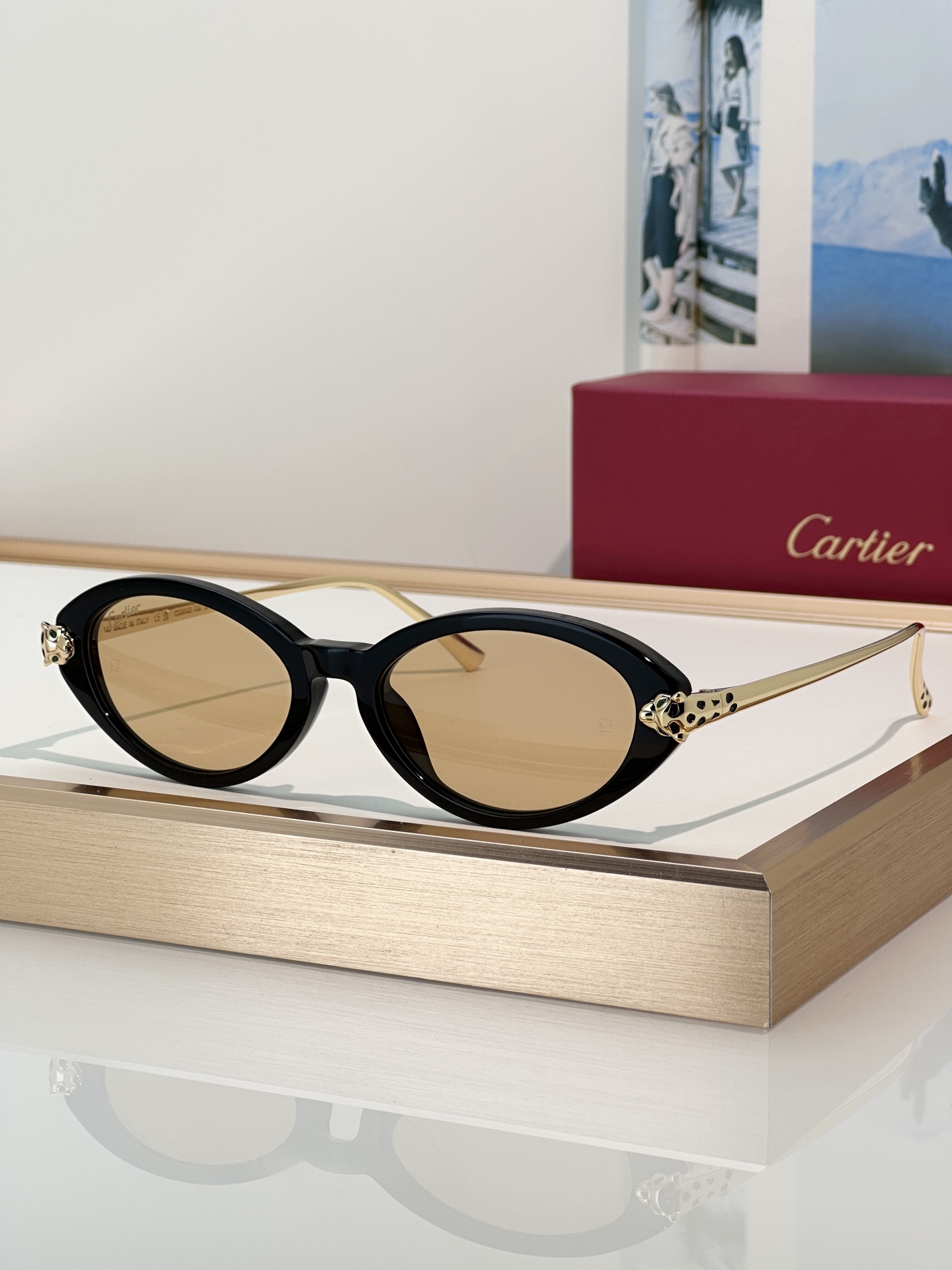 Designer Sunglasses CT0634S
