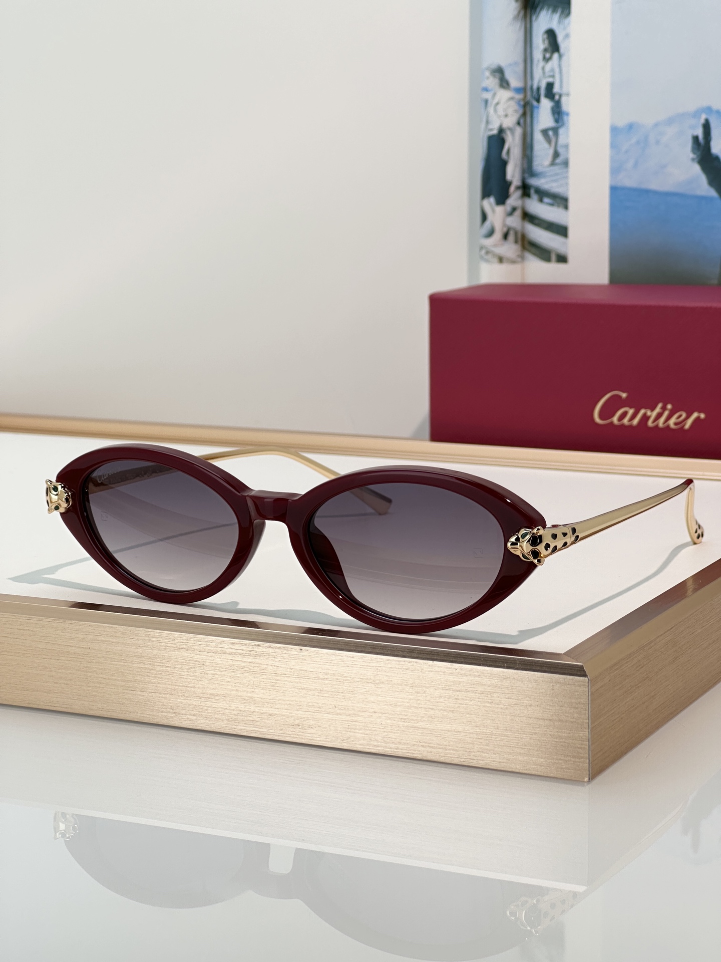 Designer Sunglasses CT0634S