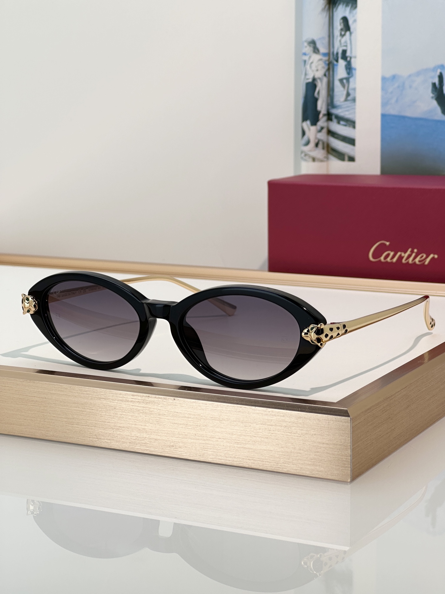 Designer Sunglasses CT0634S