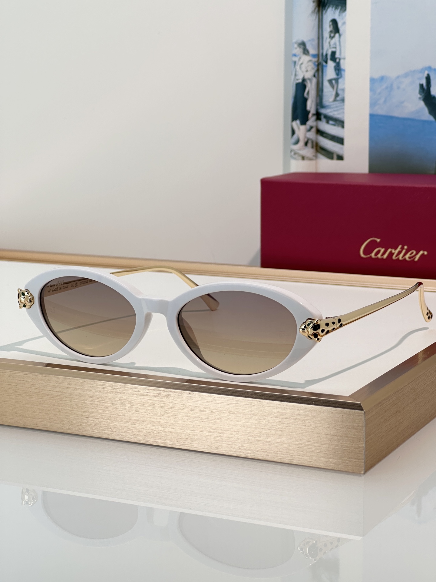Designer Sunglasses CT0634S