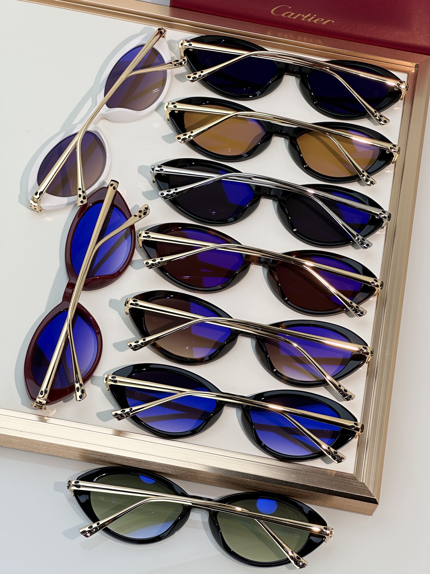 Designer Sunglasses CT0634S
