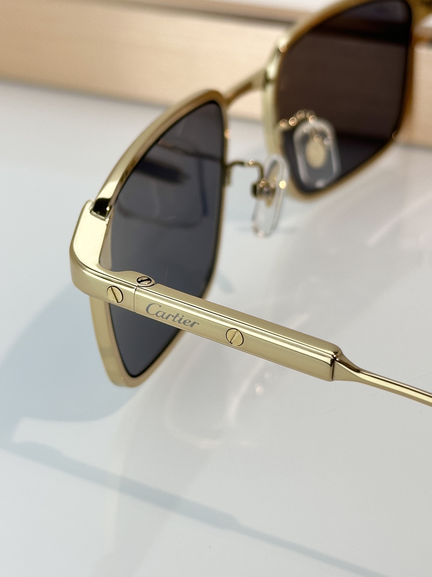 Designer Sunglasses CT0613O