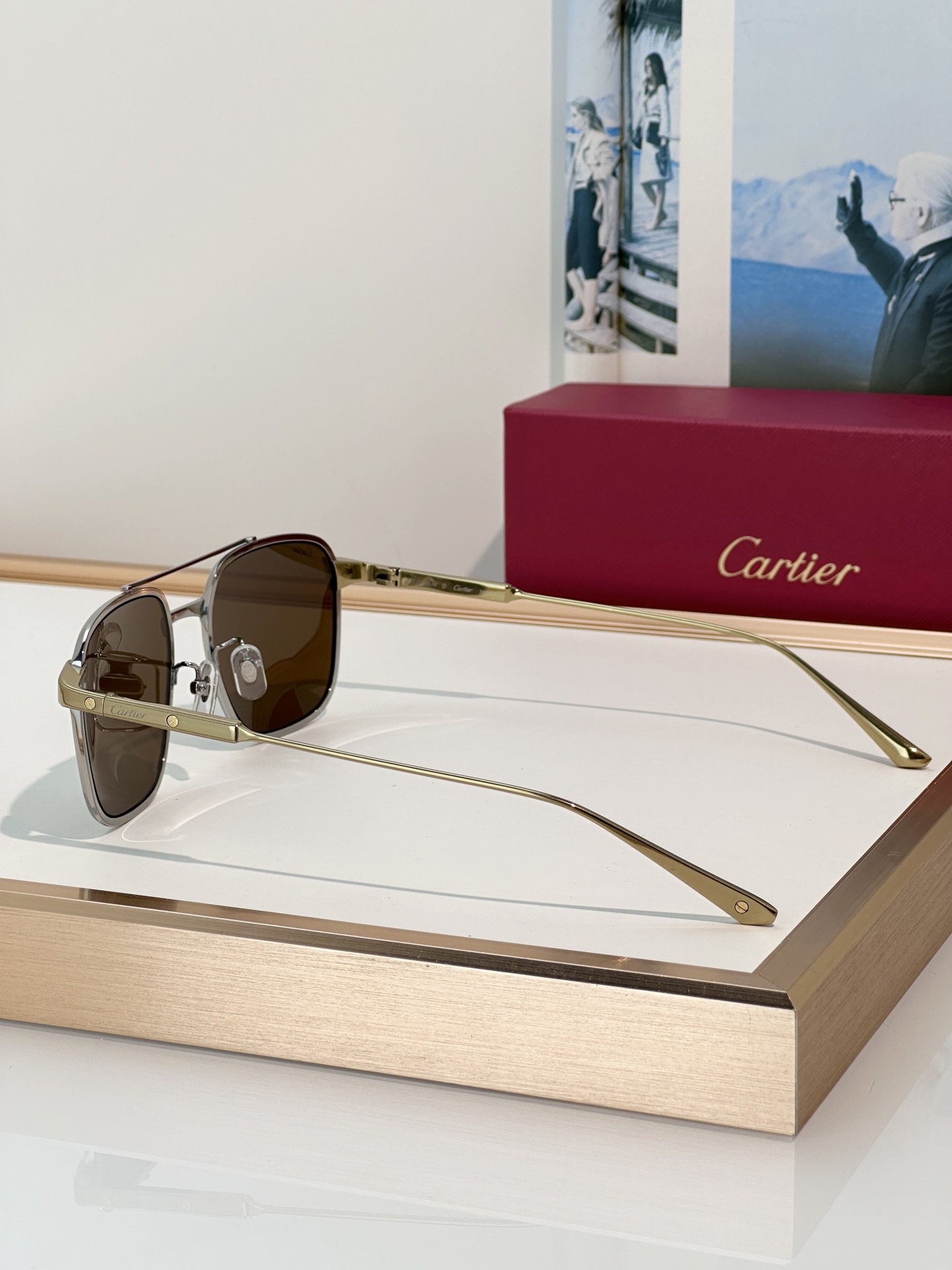 Designer Sunglasses CT0610S