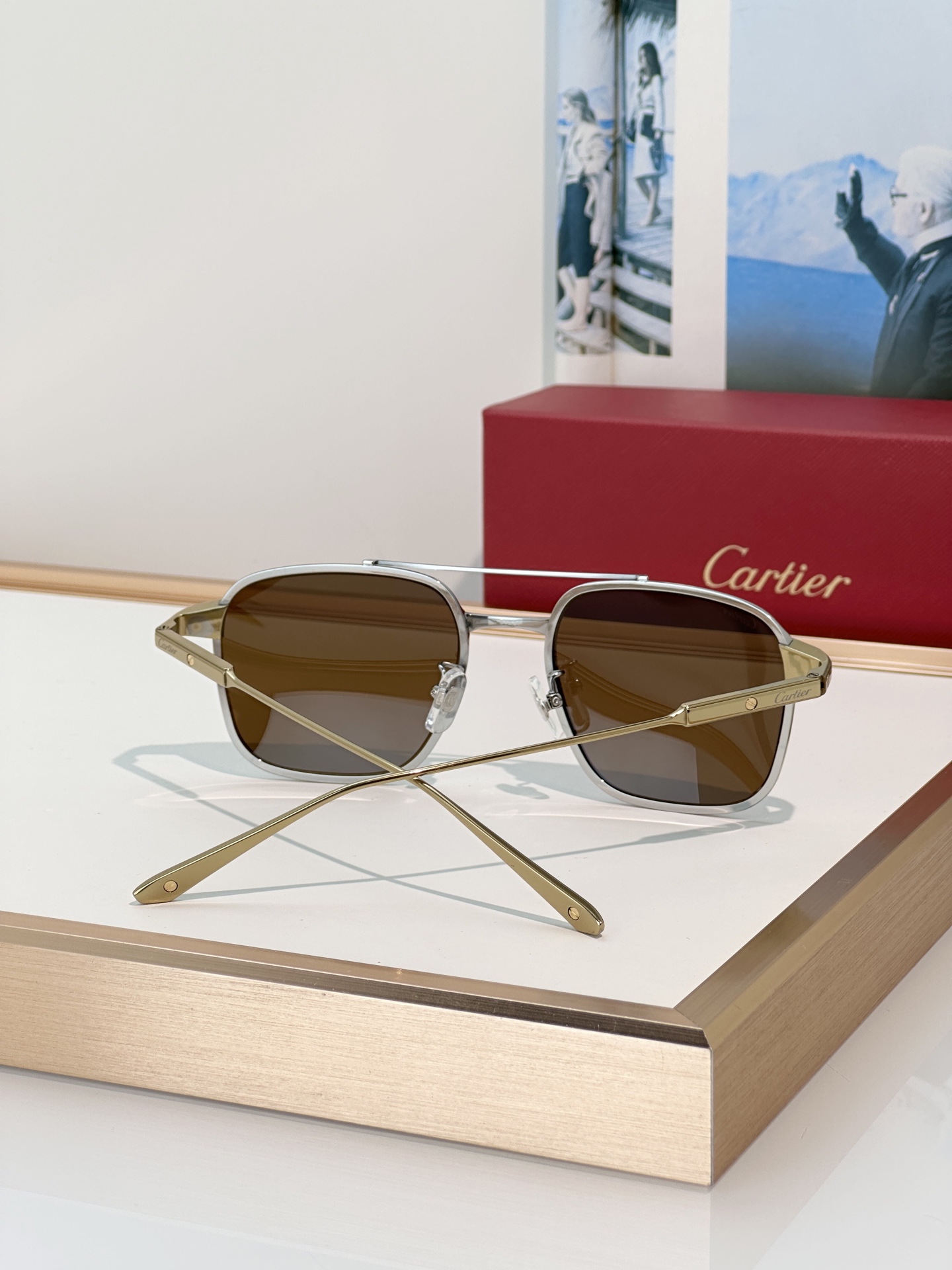 Designer Sunglasses CT0610S
