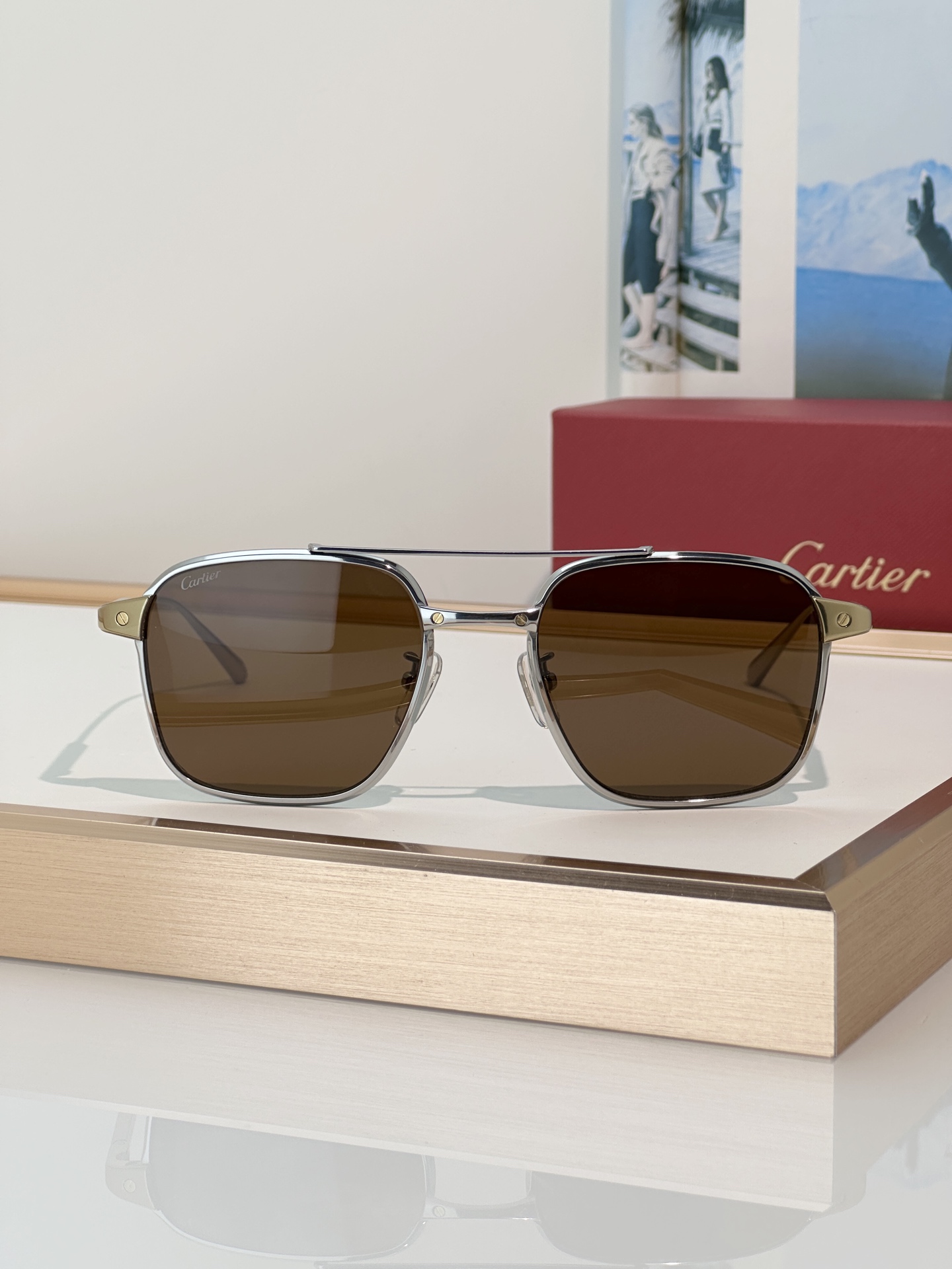 Designer Sunglasses CT0610S