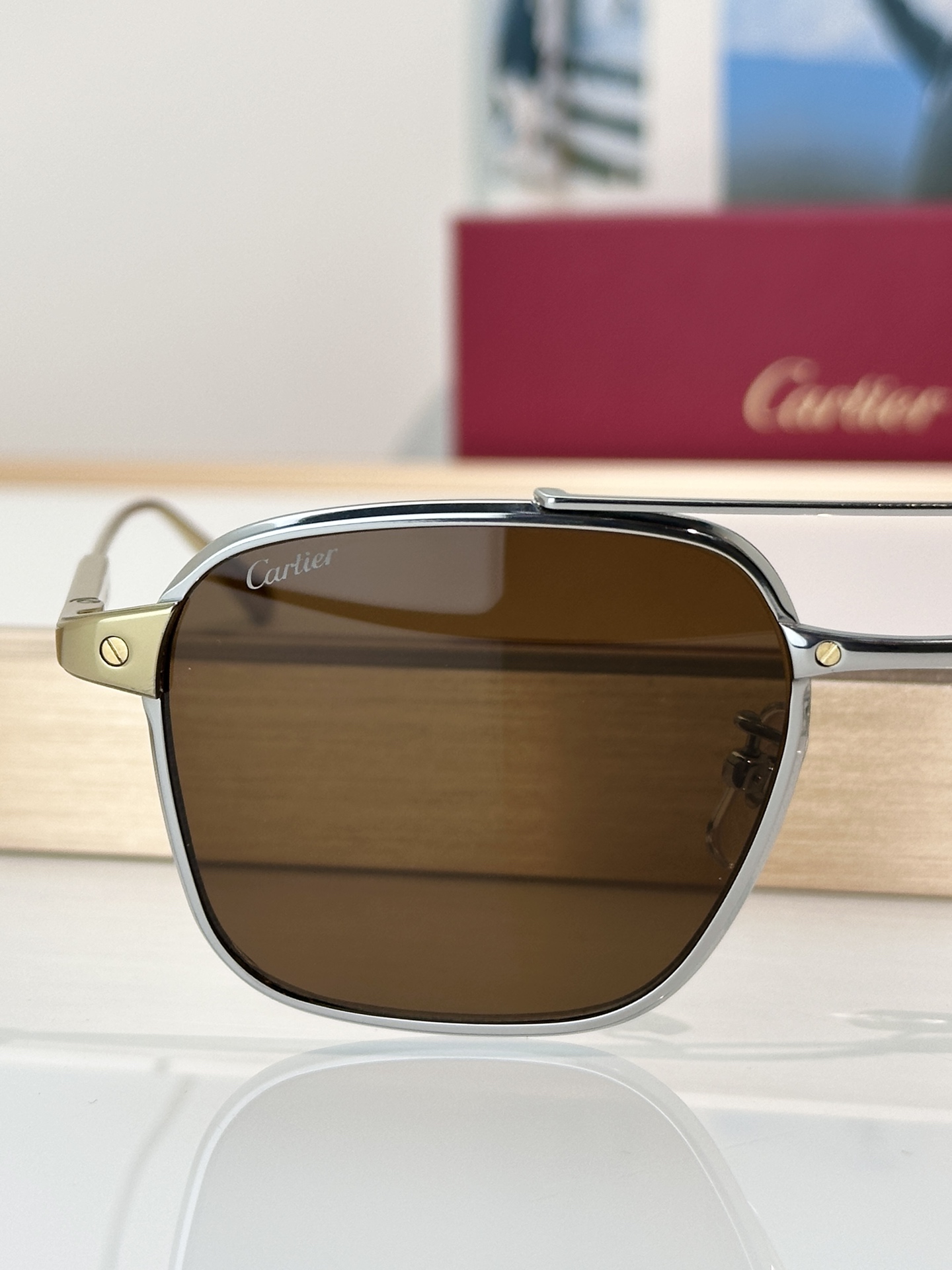 Designer Sunglasses CT0610S